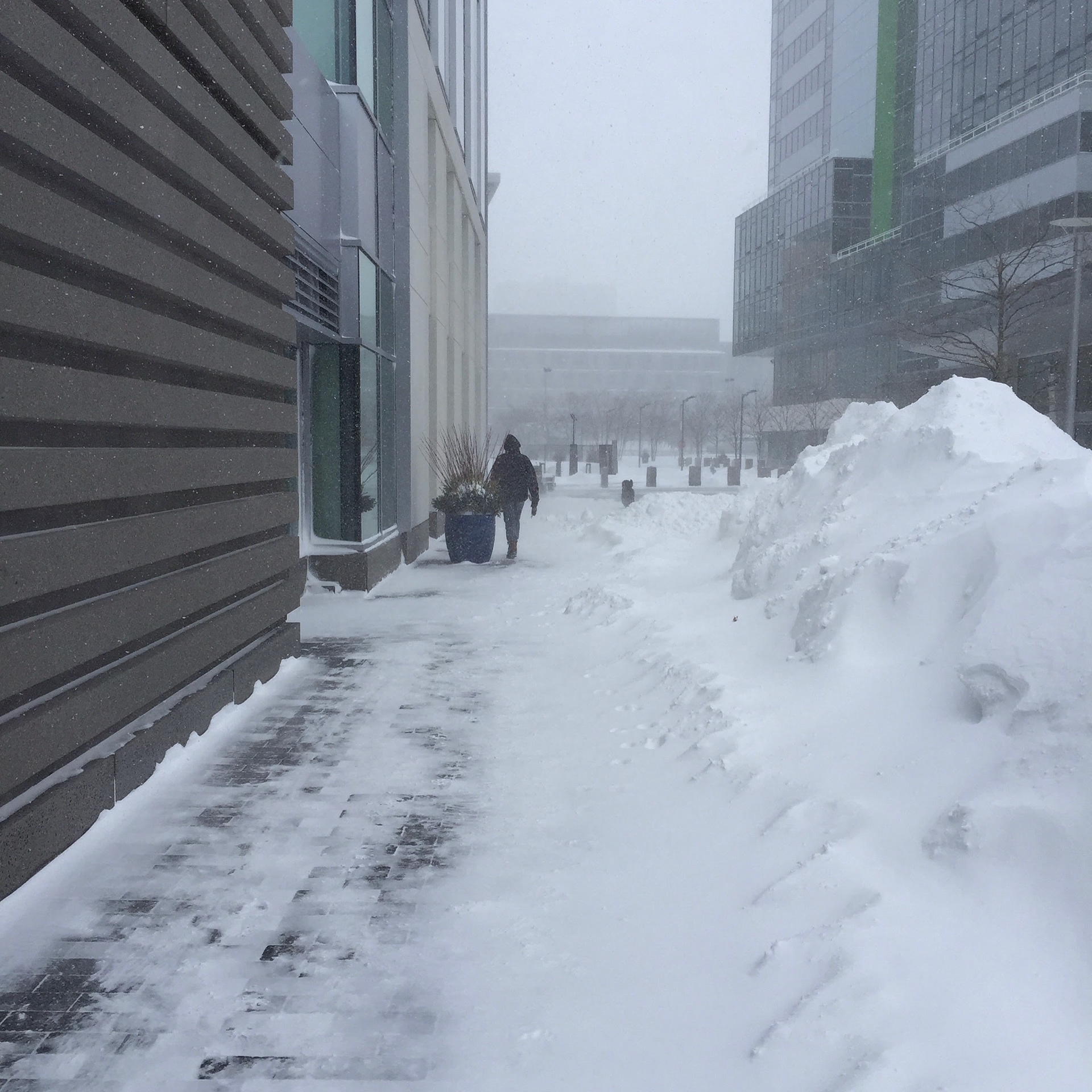 After the Snow Plow in Kendall