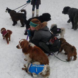 Huddle on the Boston Common