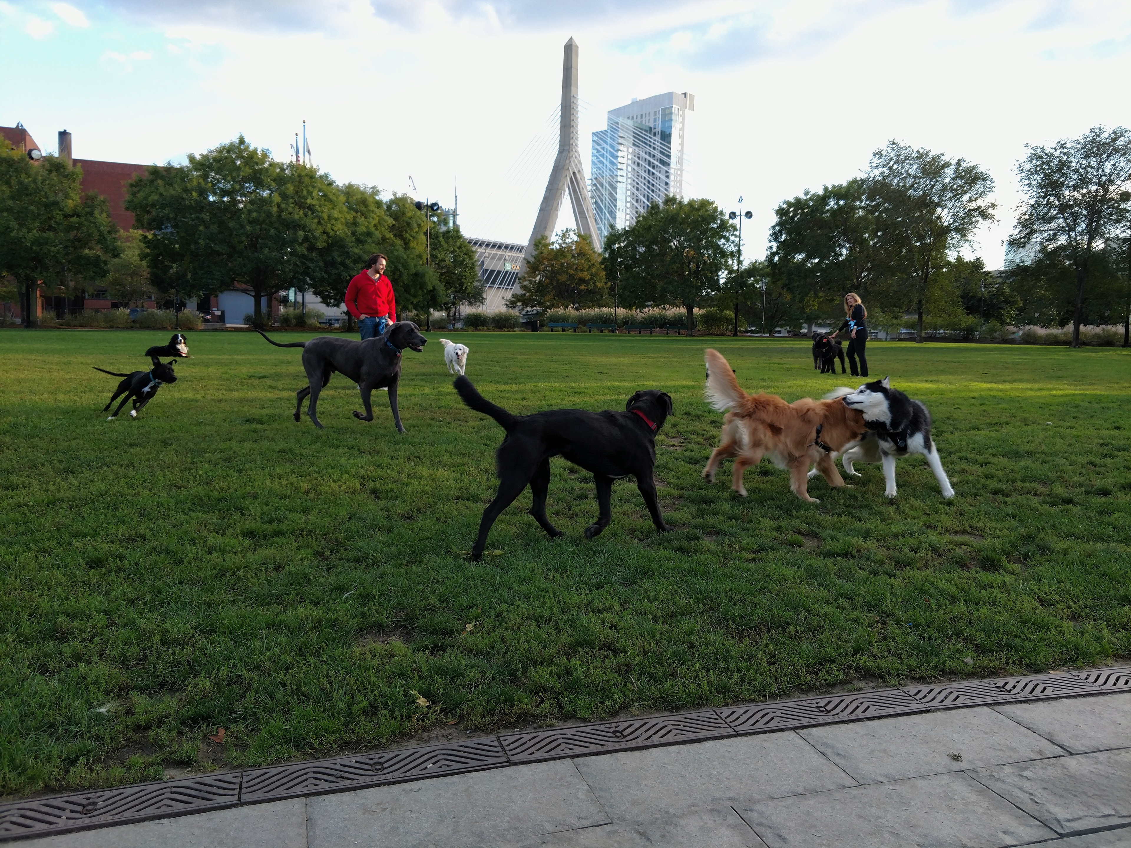 Paul Revere Park in Summer