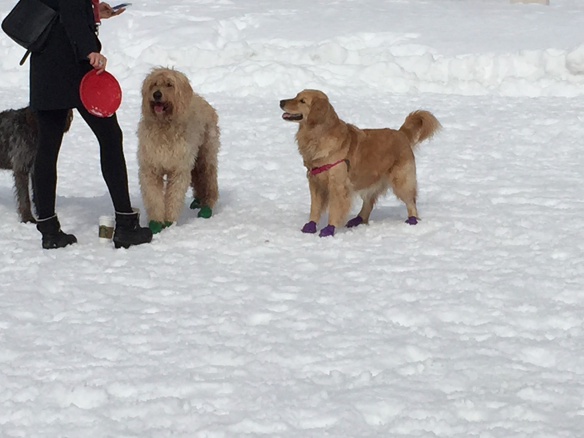 Hurry Up and Throw it!