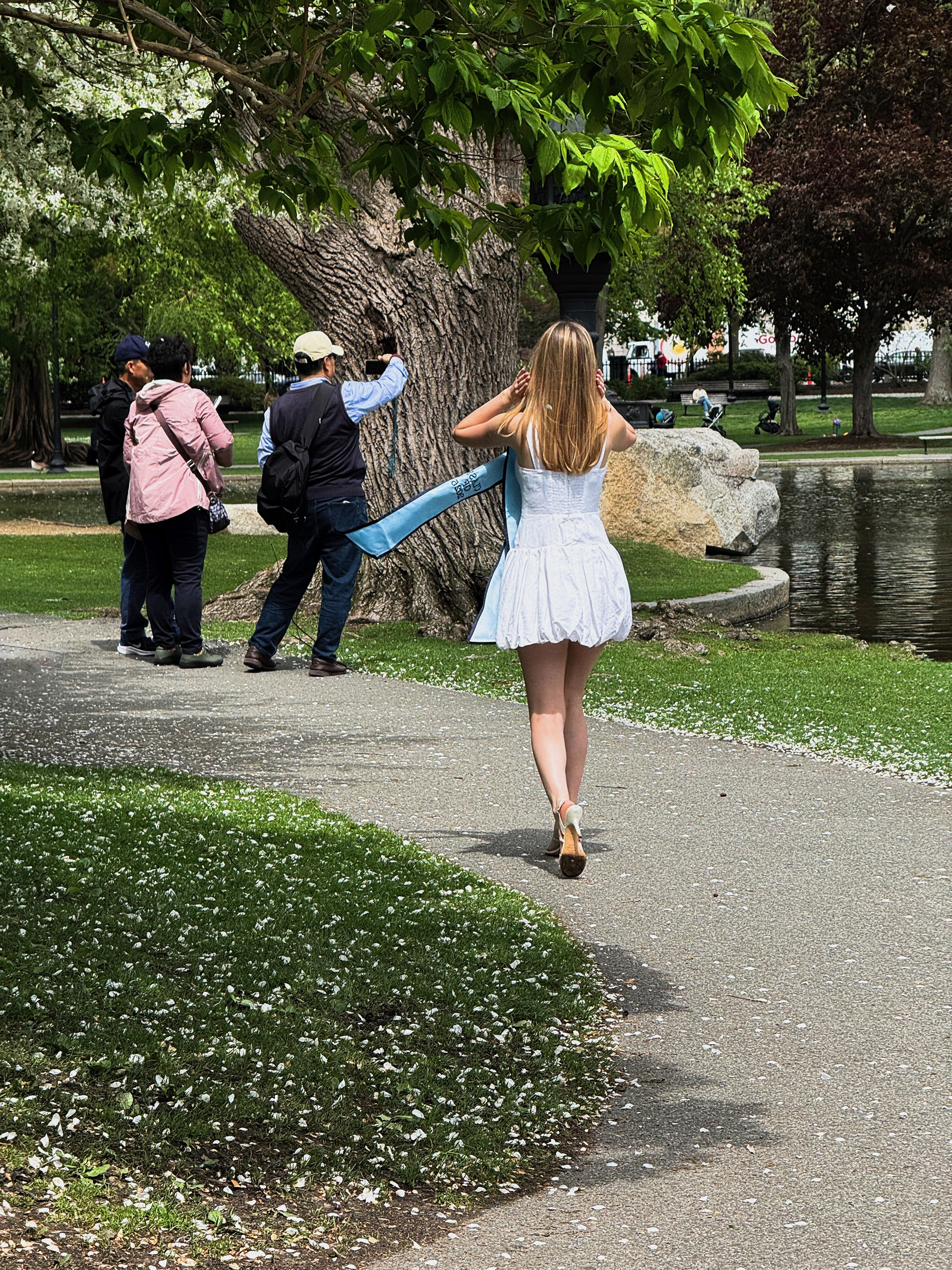 Strolling at the Public Garden