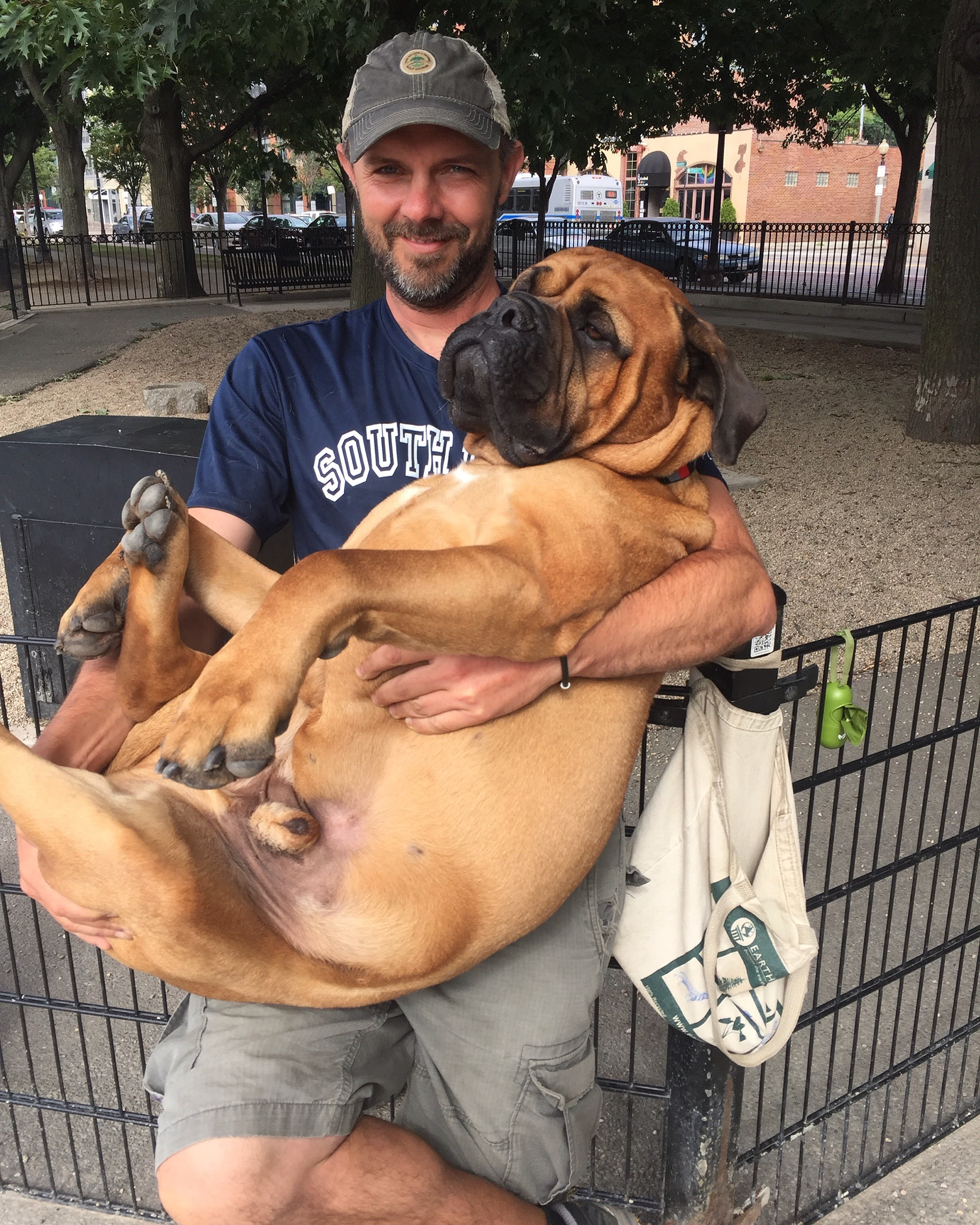 Handful at the Dog Park