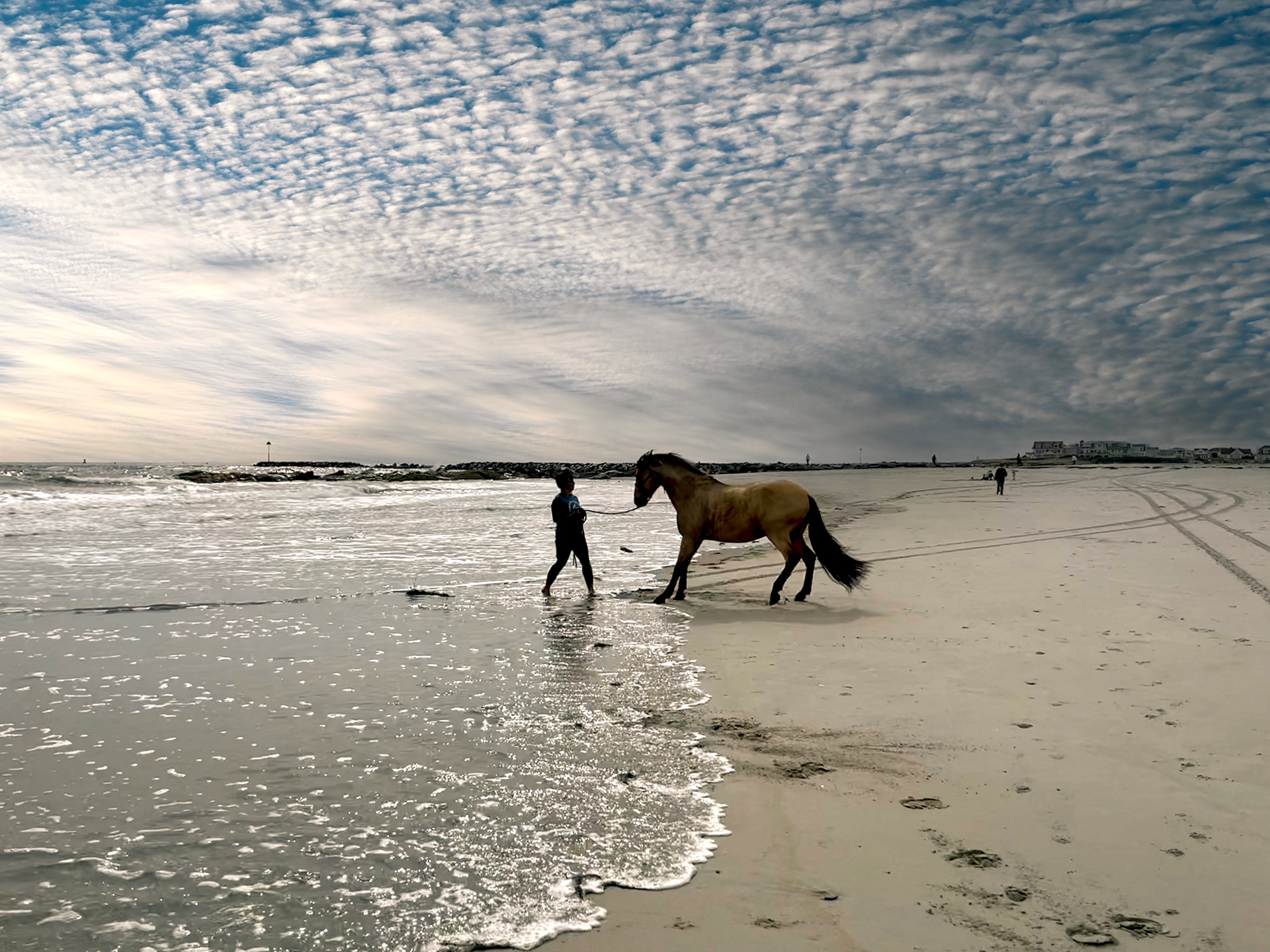 Balky Horse at the Beach