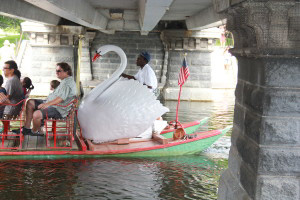 Pedalling a Swan Boat