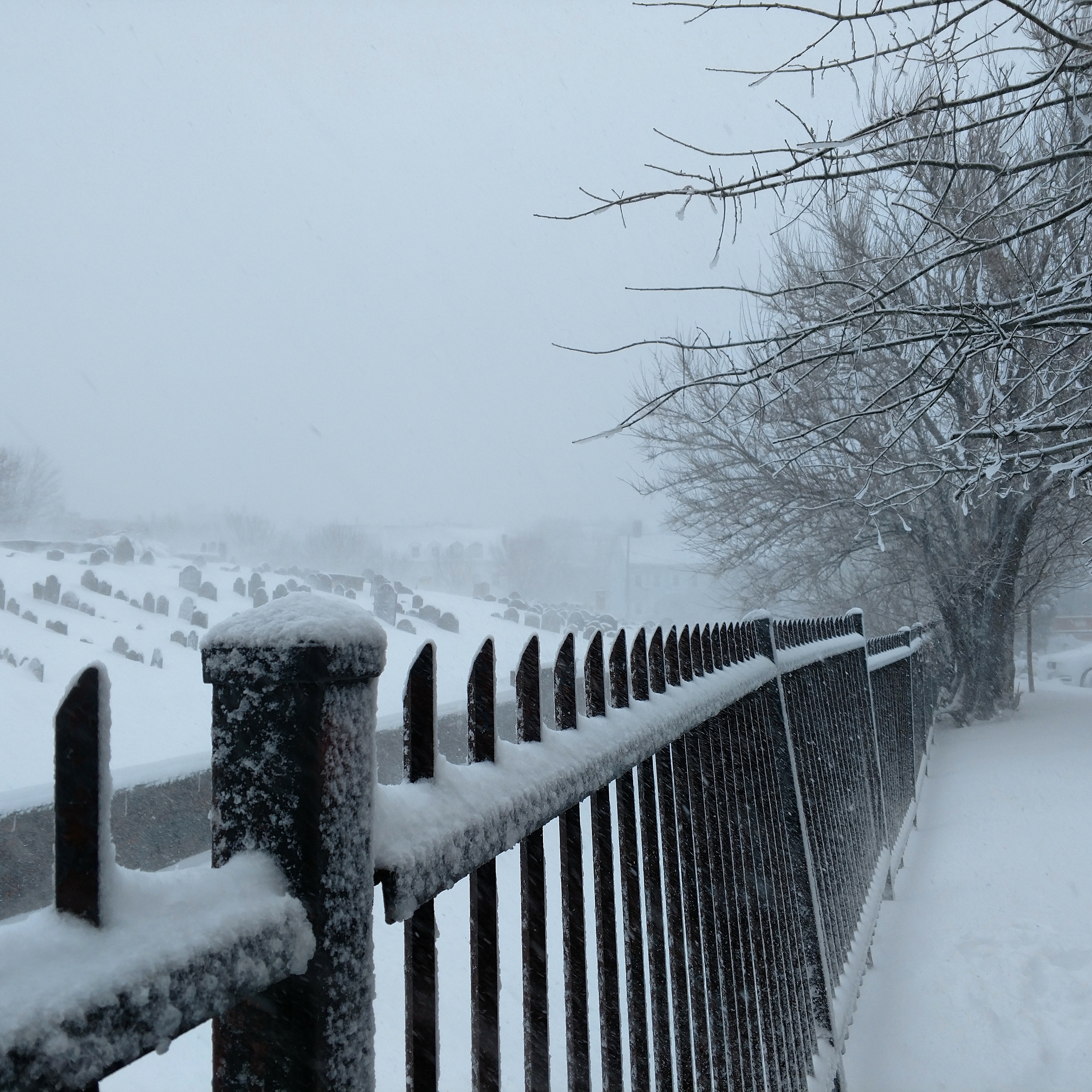 Charlestown Blustery Day