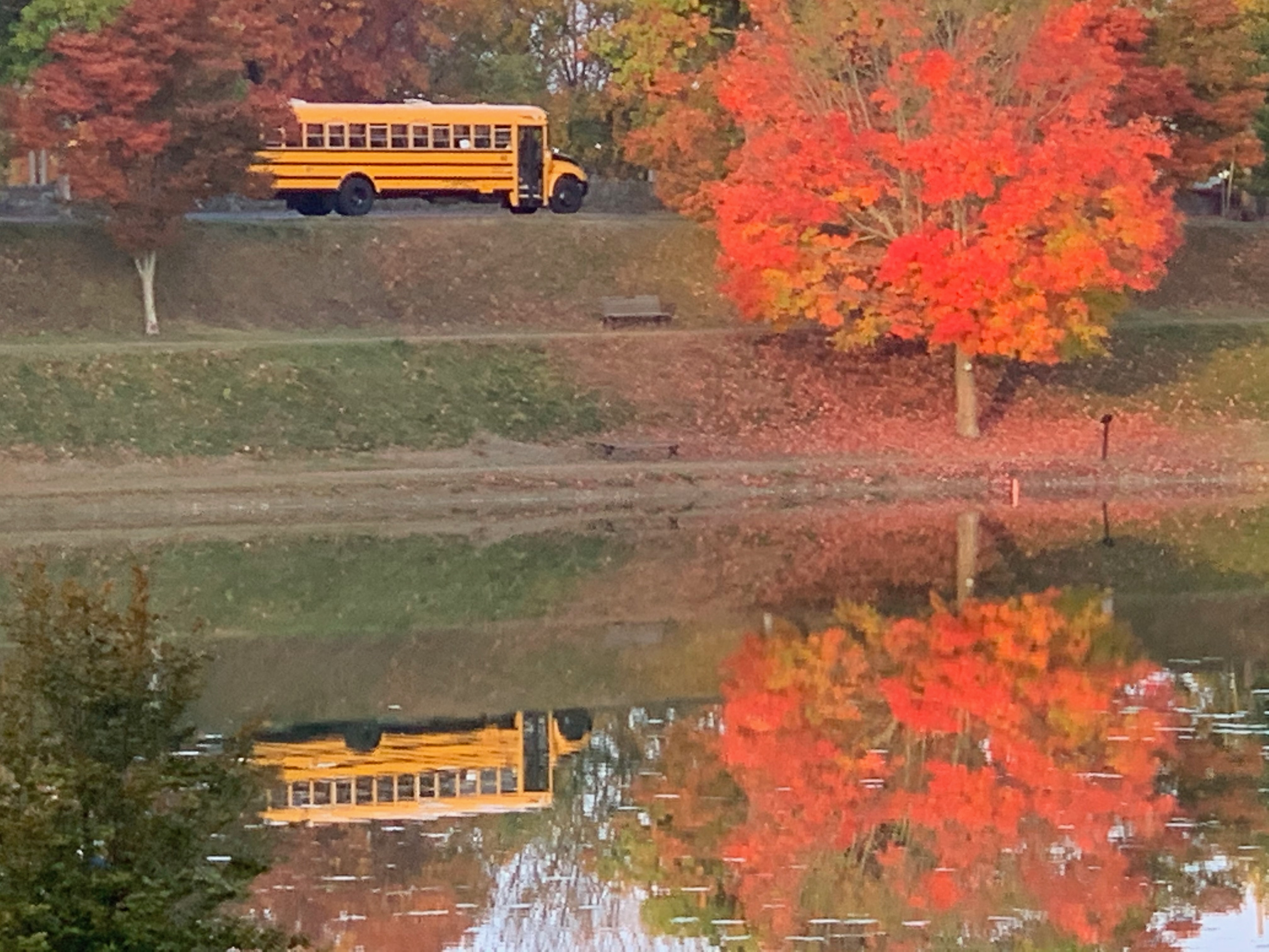 School Bus