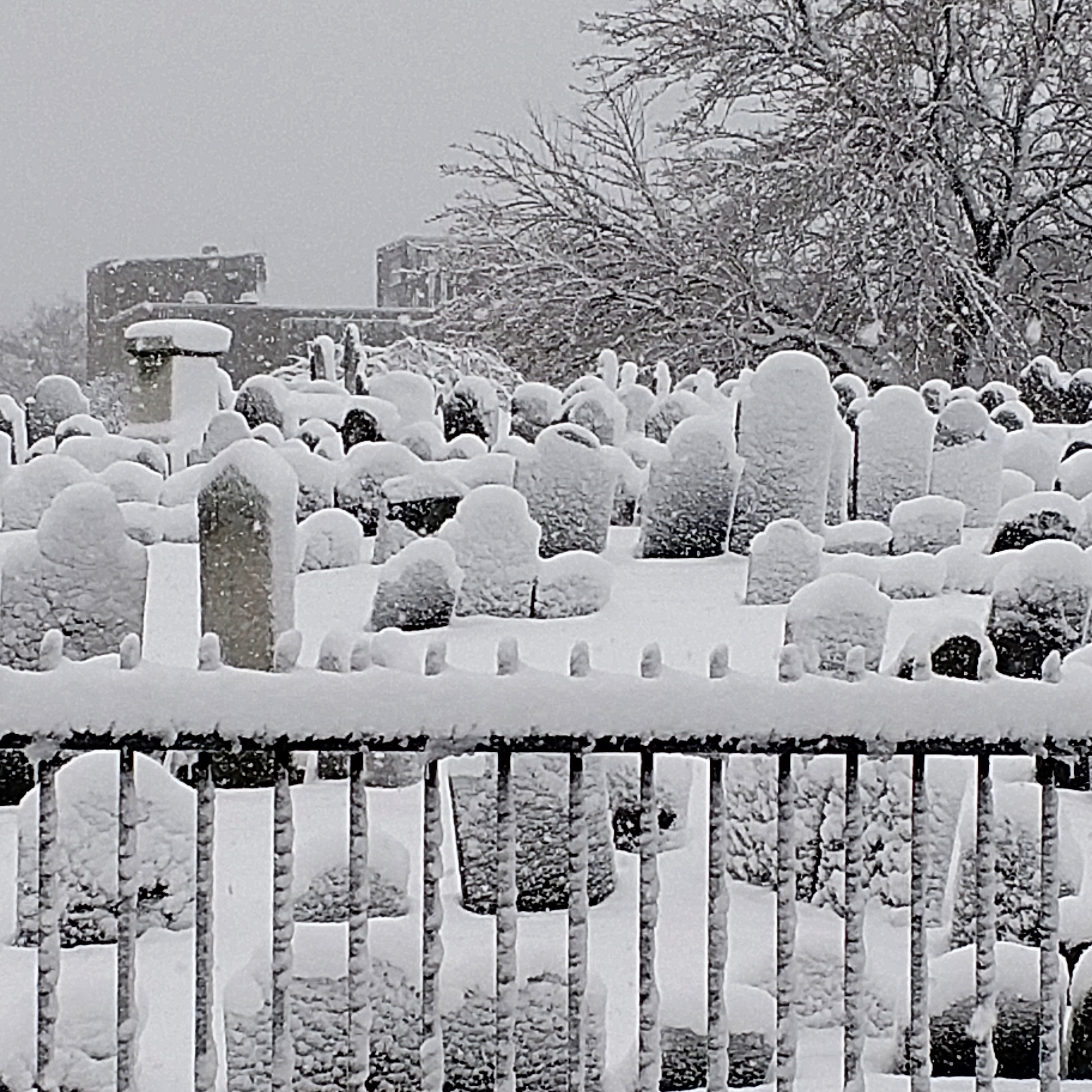 Charlestown Cemetery After a Snow