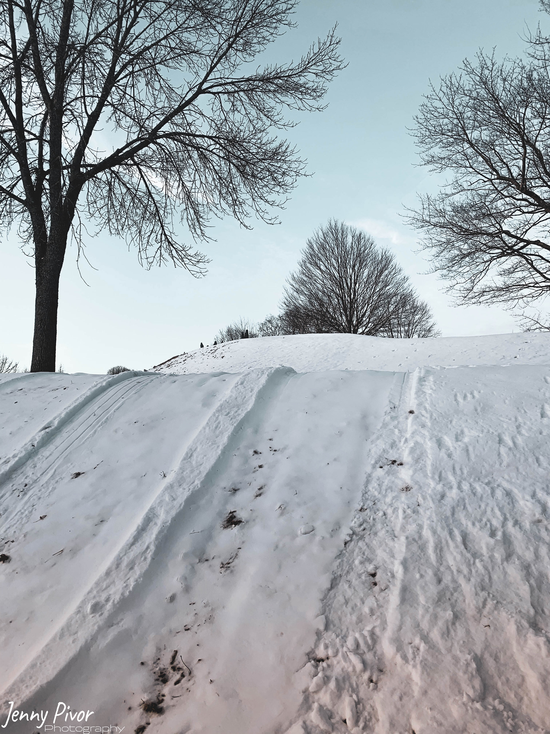 Sledding Hill