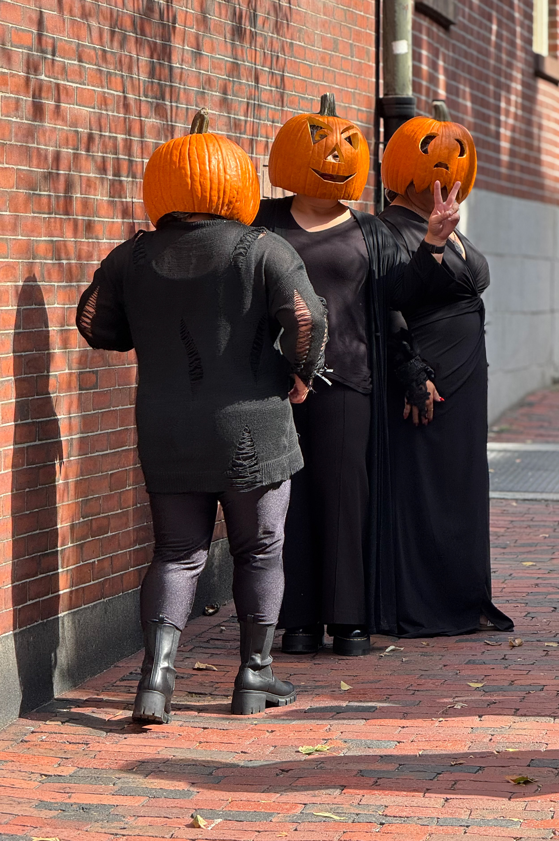 Rogue Pumpkins in Beacon Hill