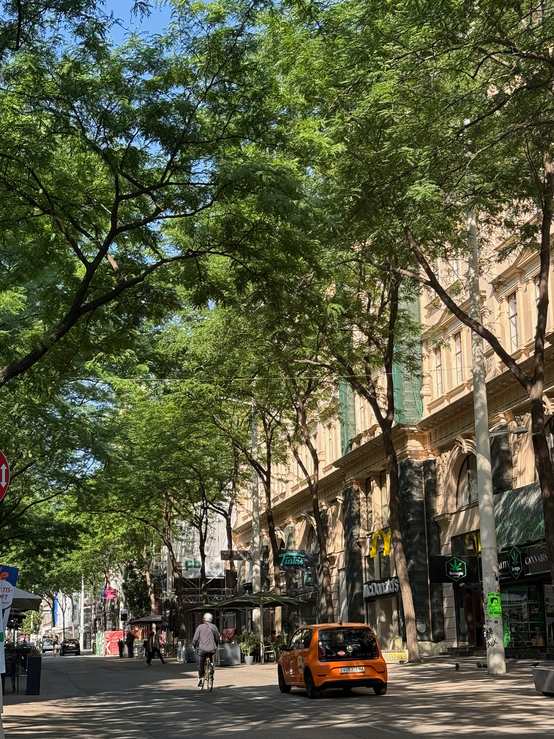 Beautiful Pedestrian Shopping Street