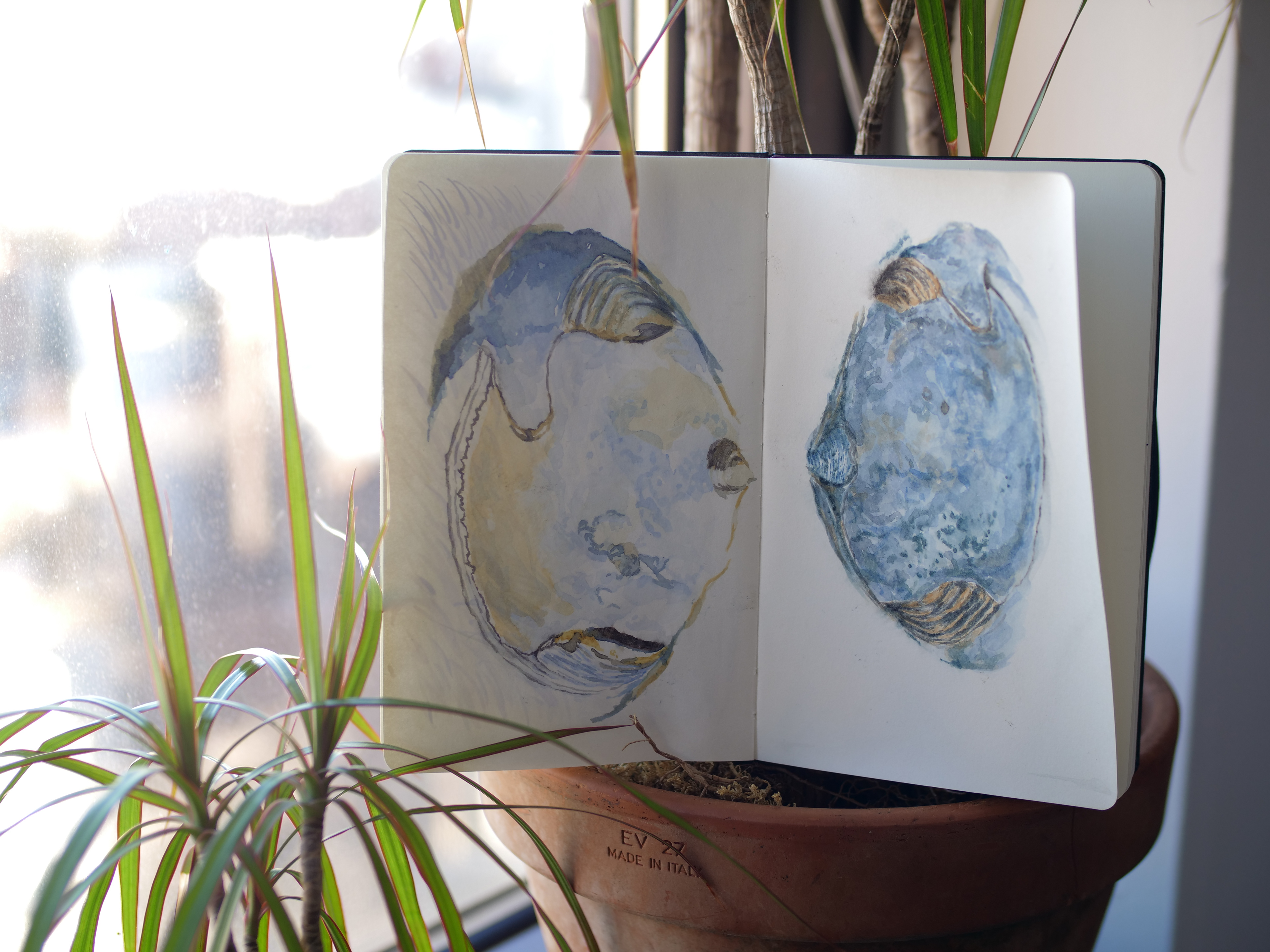 Watercolor on paper, 2020