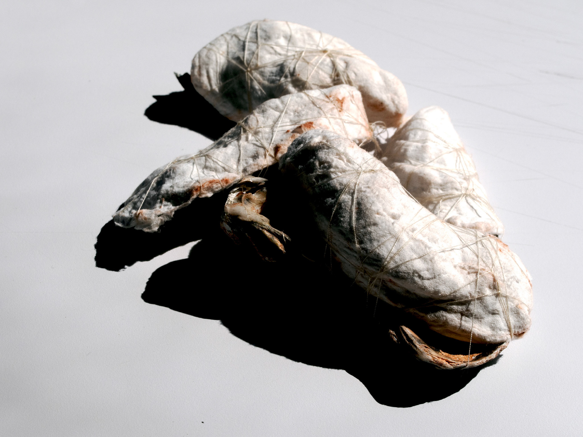 Handmade Paper (Cotton, String, Oyster Shells), 2020