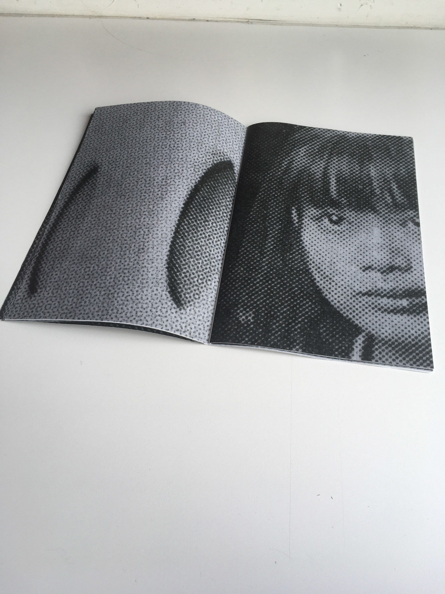 Book composed of digital scans, 2018