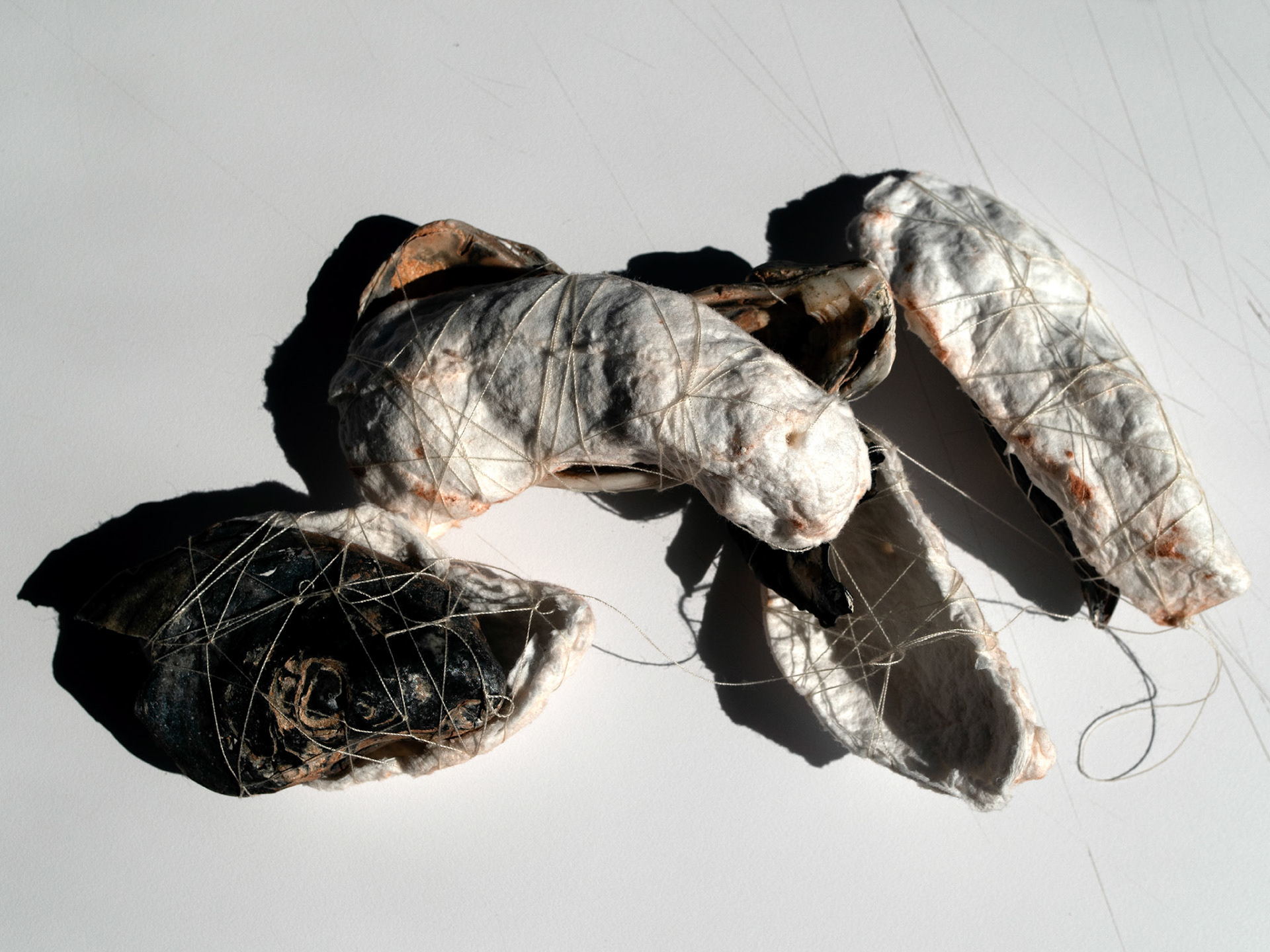 Handmade Paper (Cotton, String, Oyster Shells), 2020