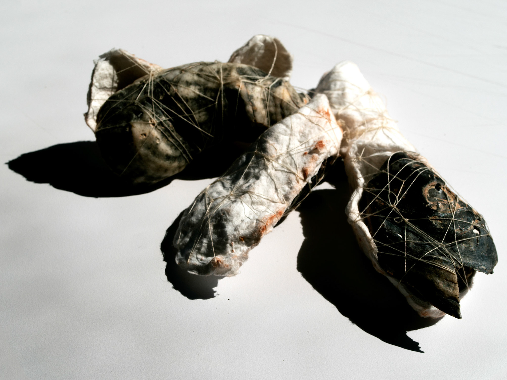 Handmade Paper (Cotton, String, Oyster Shells), 2020