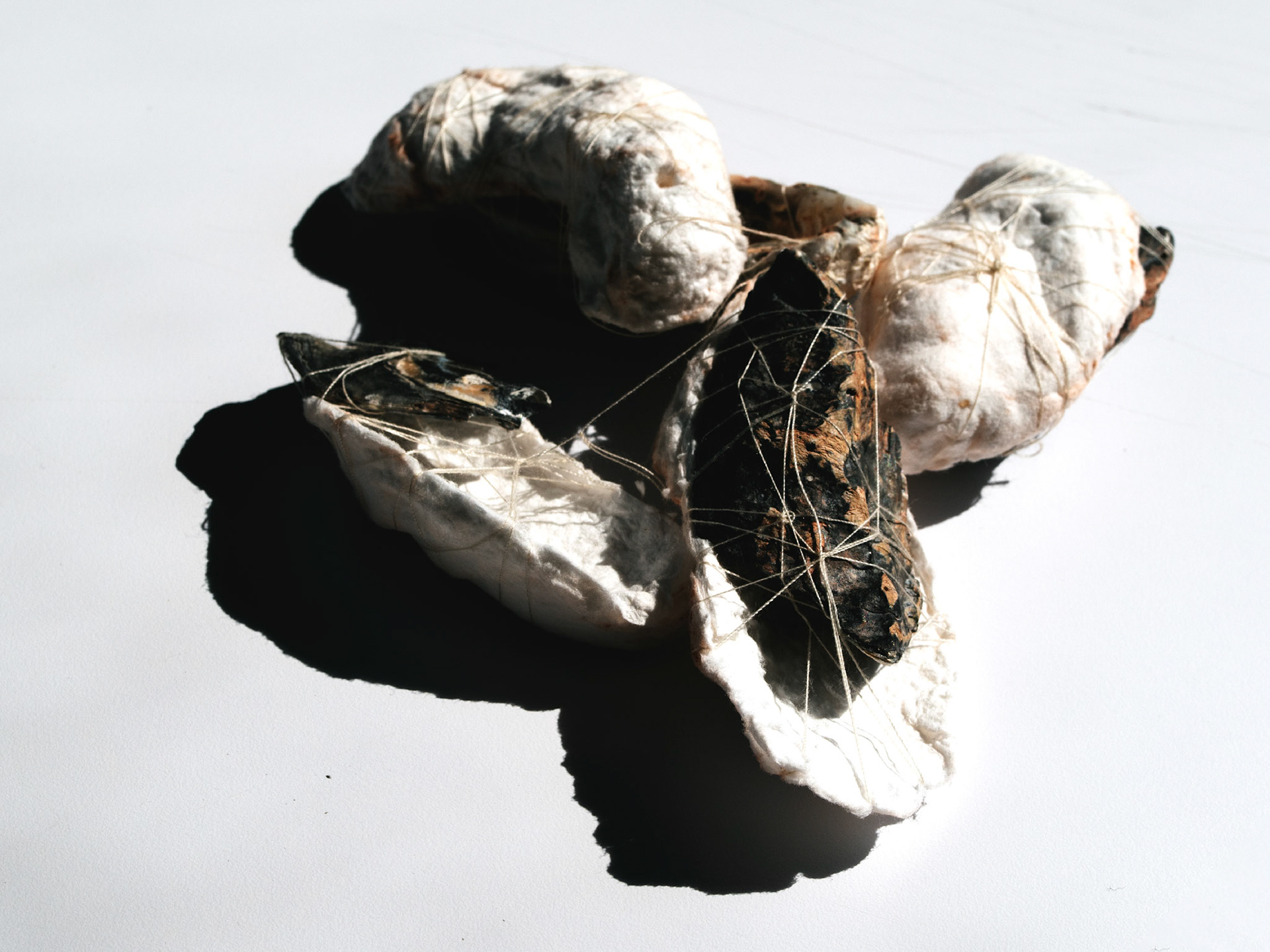 Handmade Paper (Cotton, String, Oyster Shells), 2020