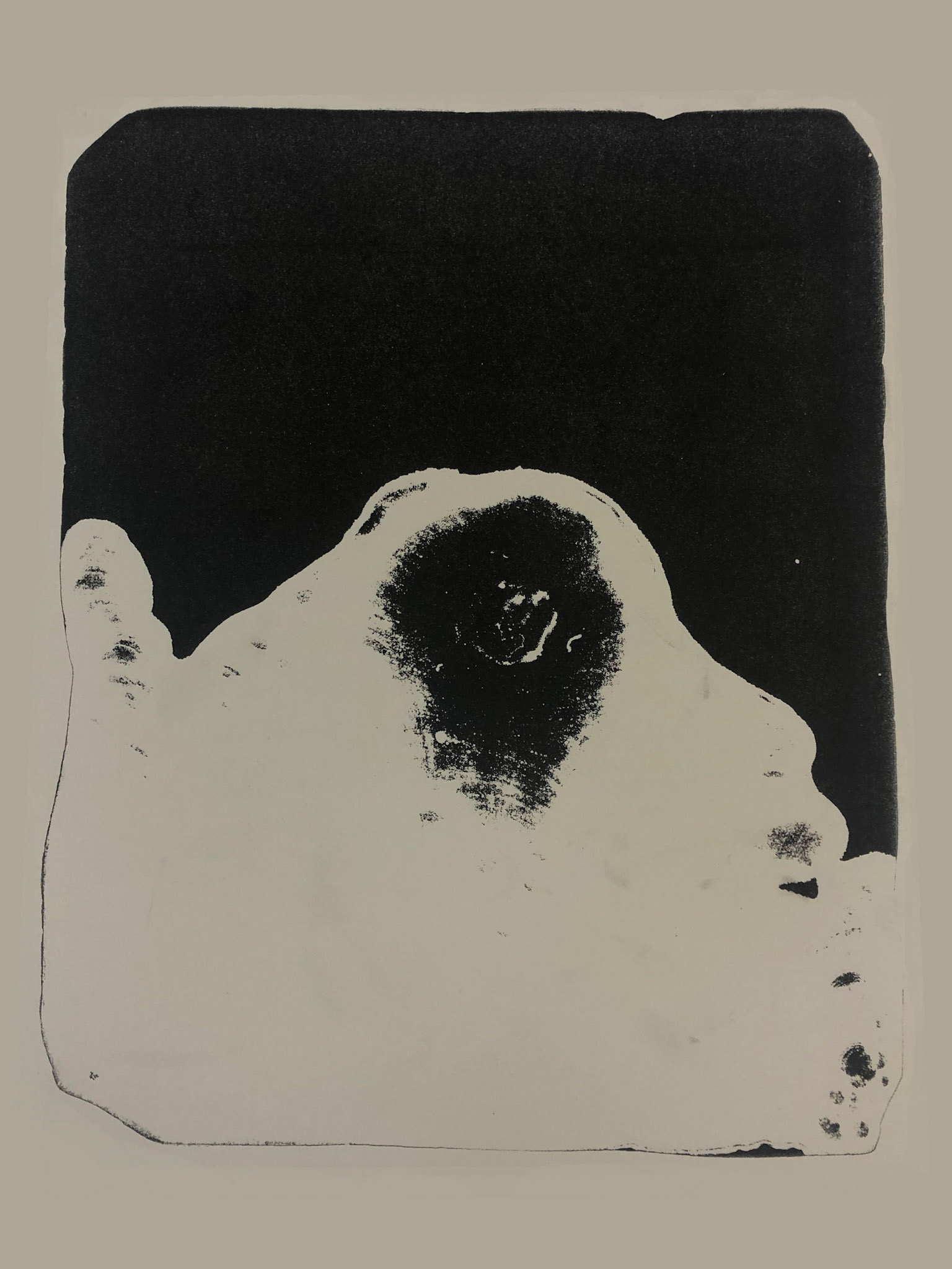 Stone Lithography, 2019