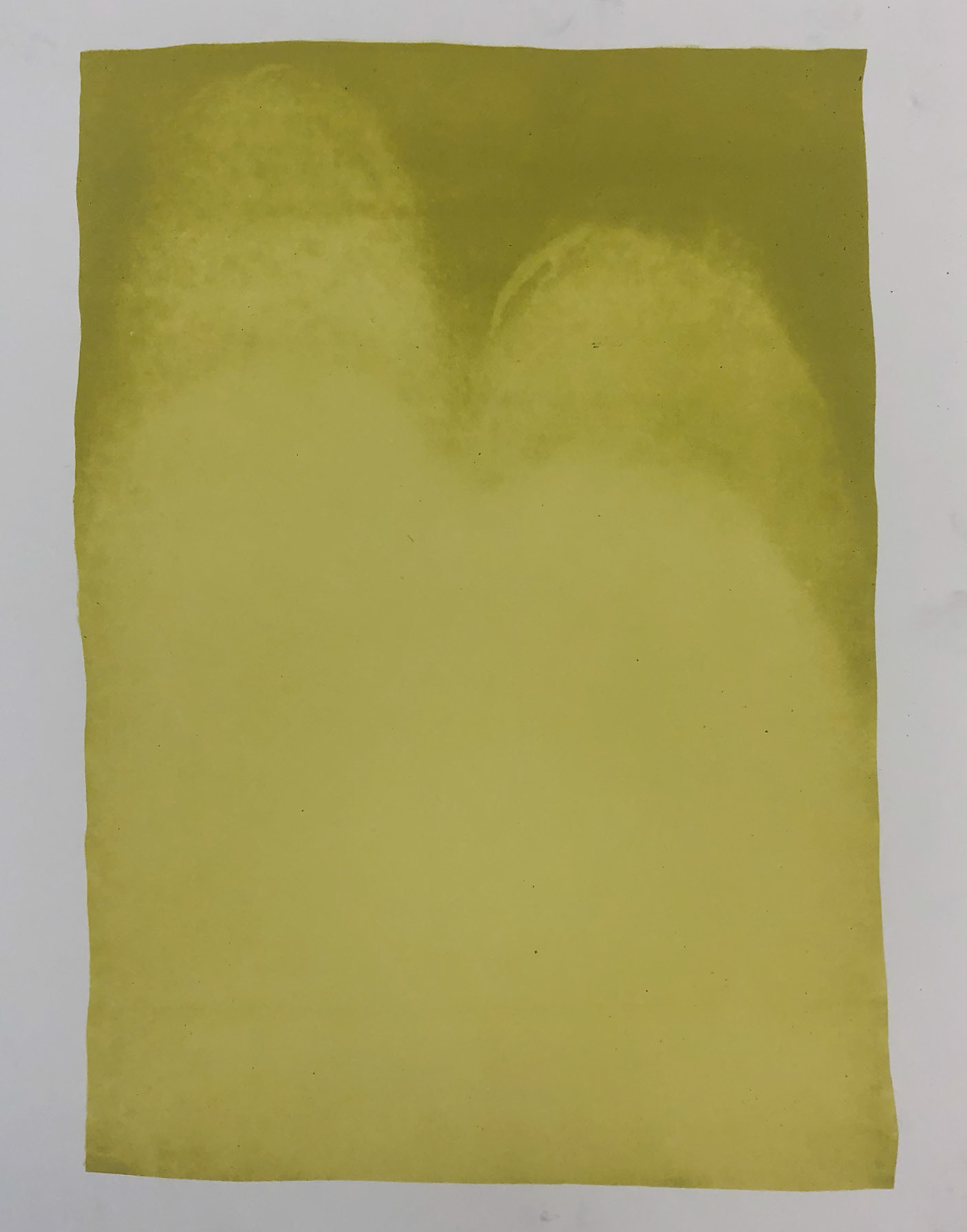 Stone Lithography, 2019