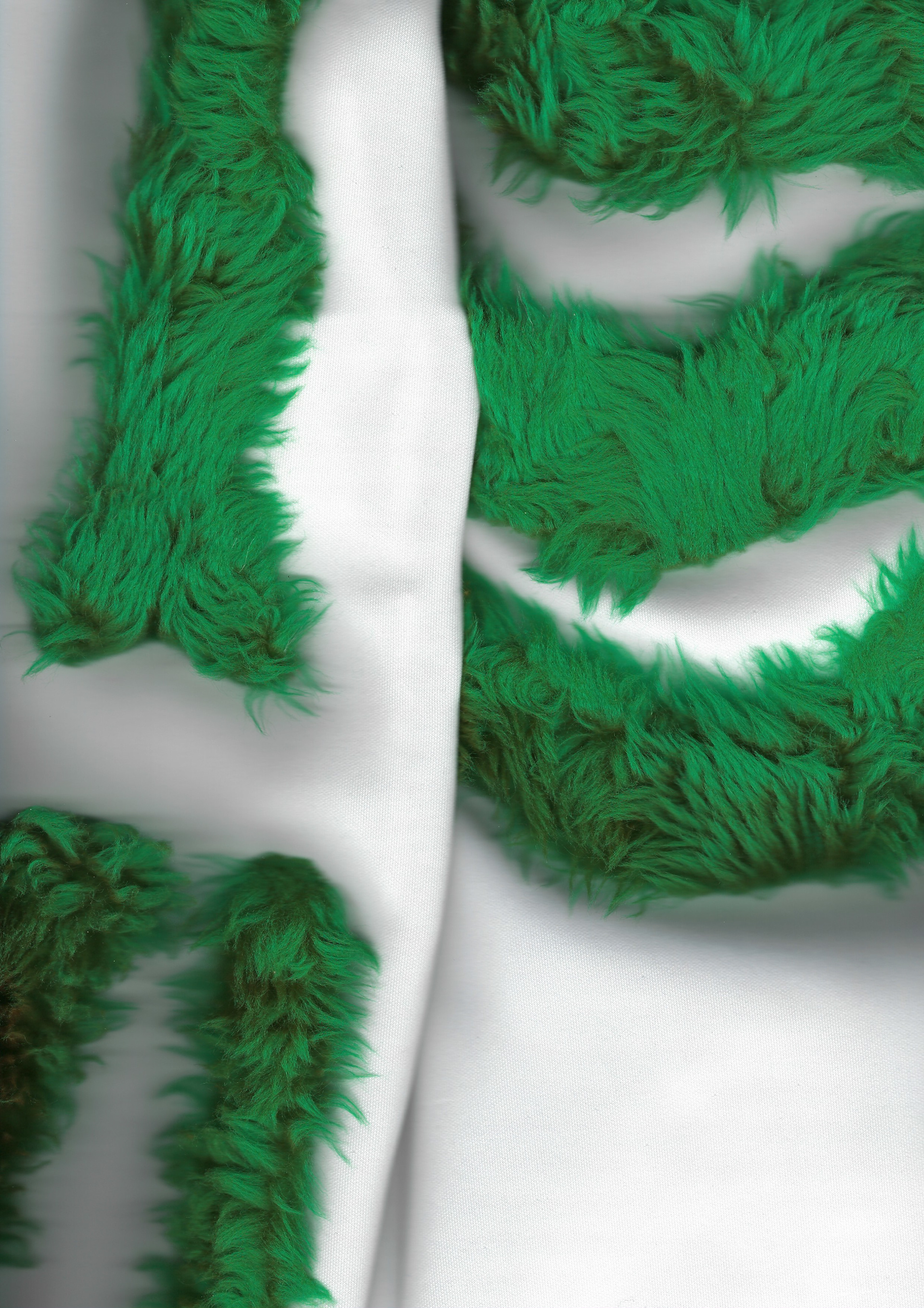 Skeleton fur scan