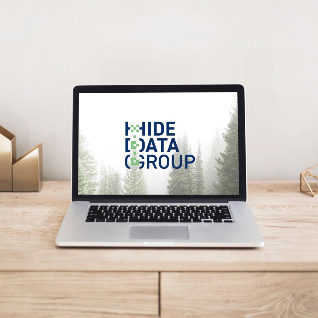 Hide Data Group
