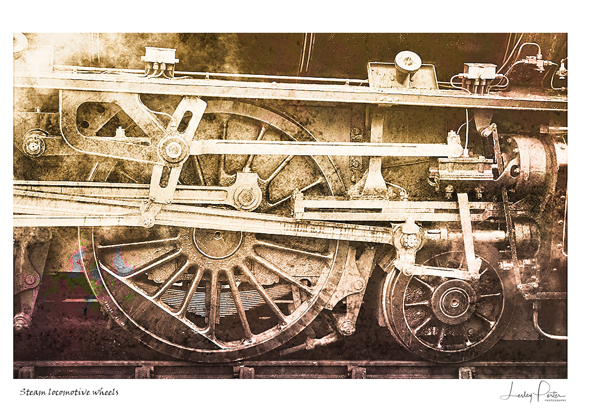 Locomotion