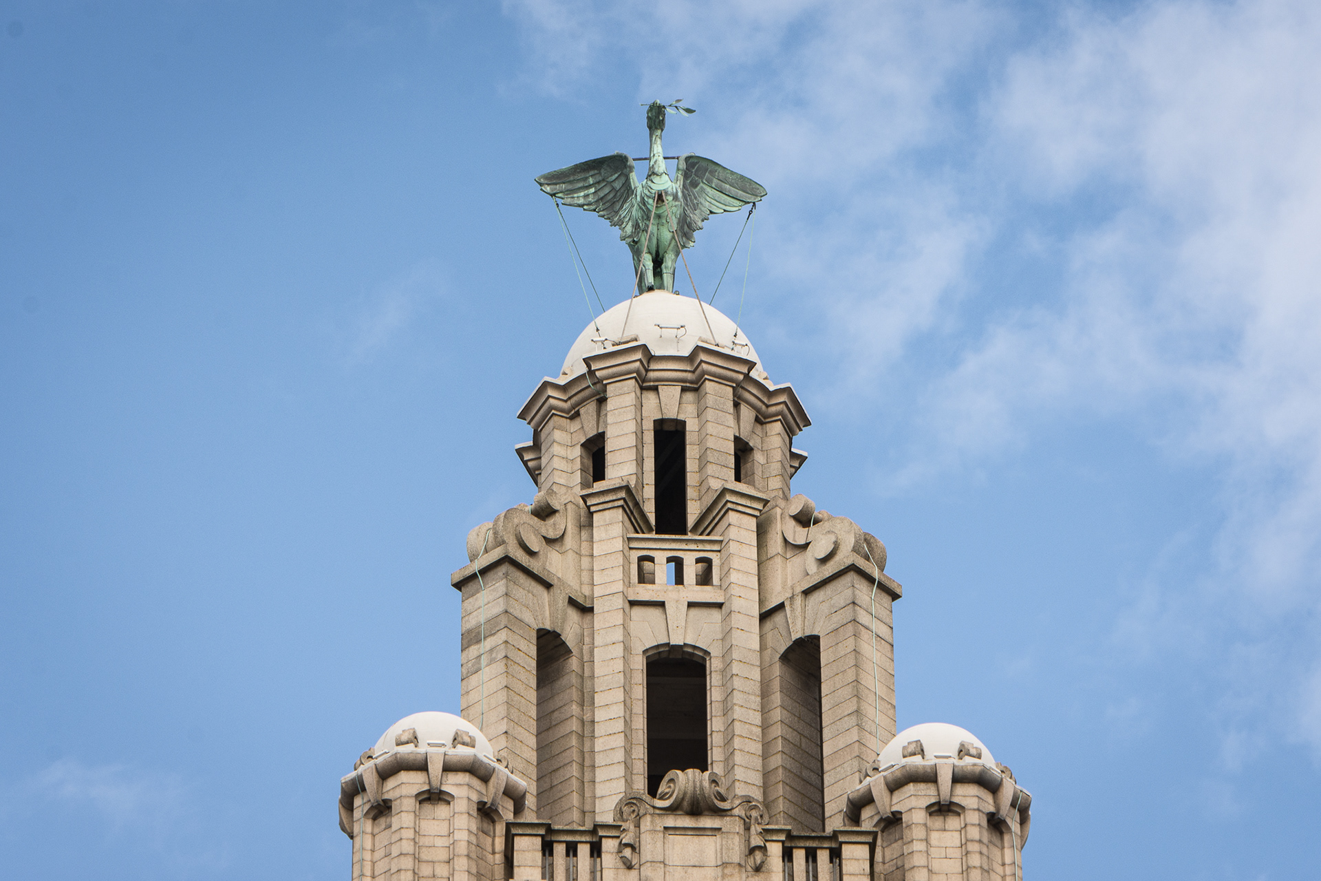 Liver bird
