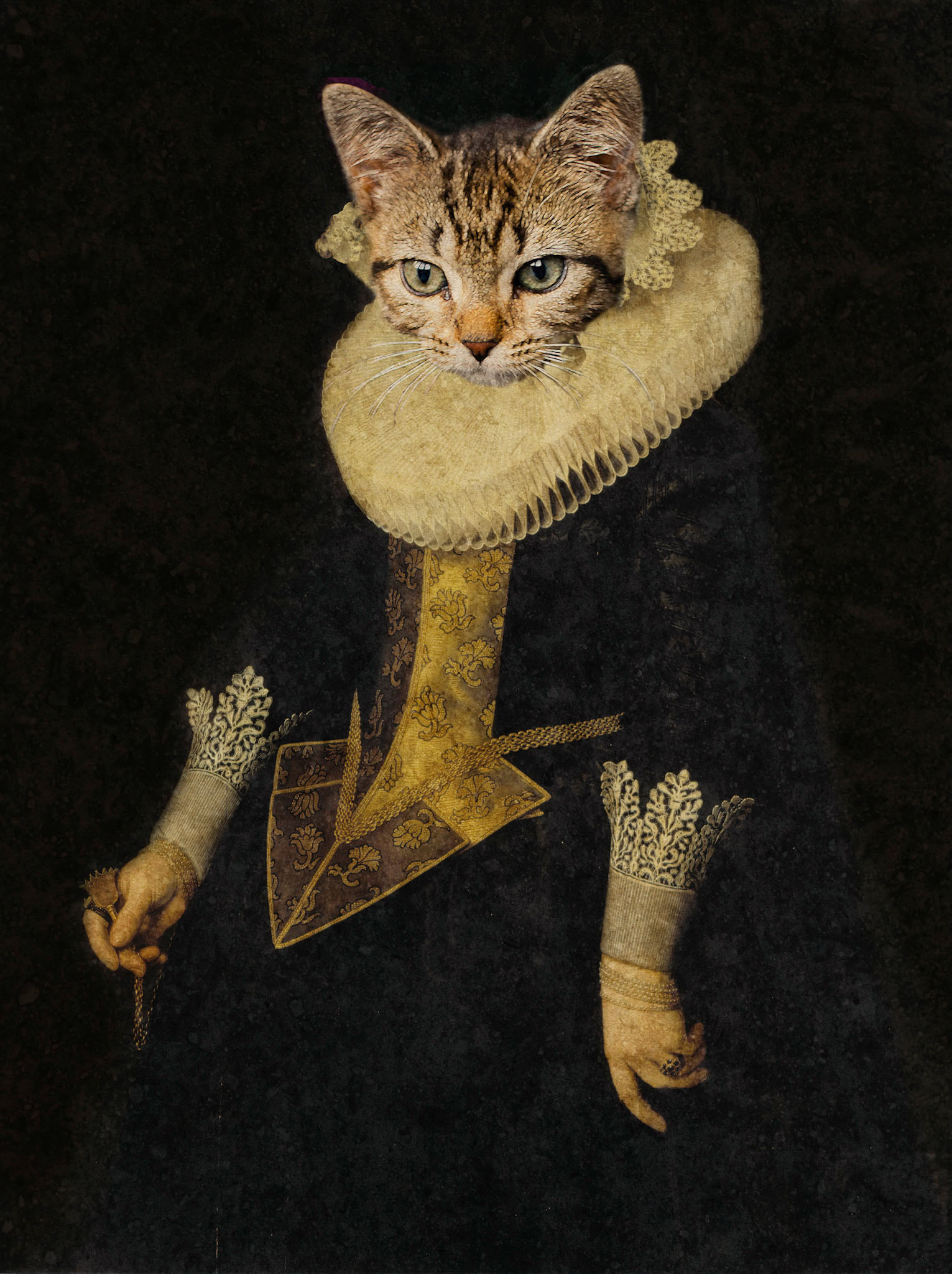 Cat lady