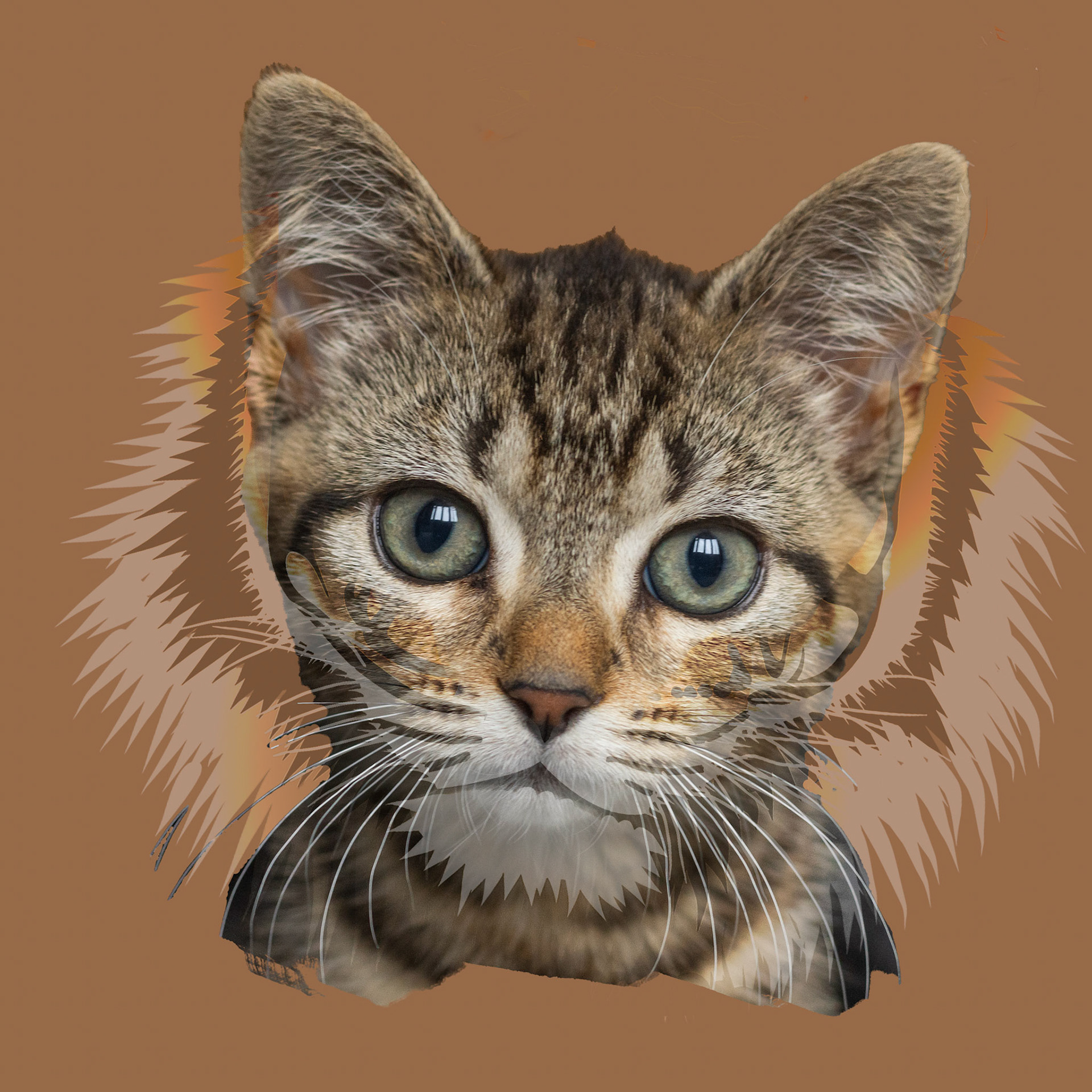 Tiger tiger