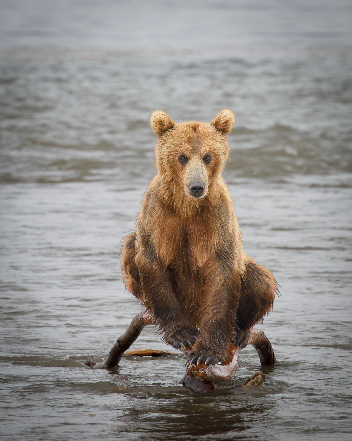 Kuril Lake, Kamchatka, Russia