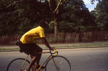 NY Central park-36 DBS