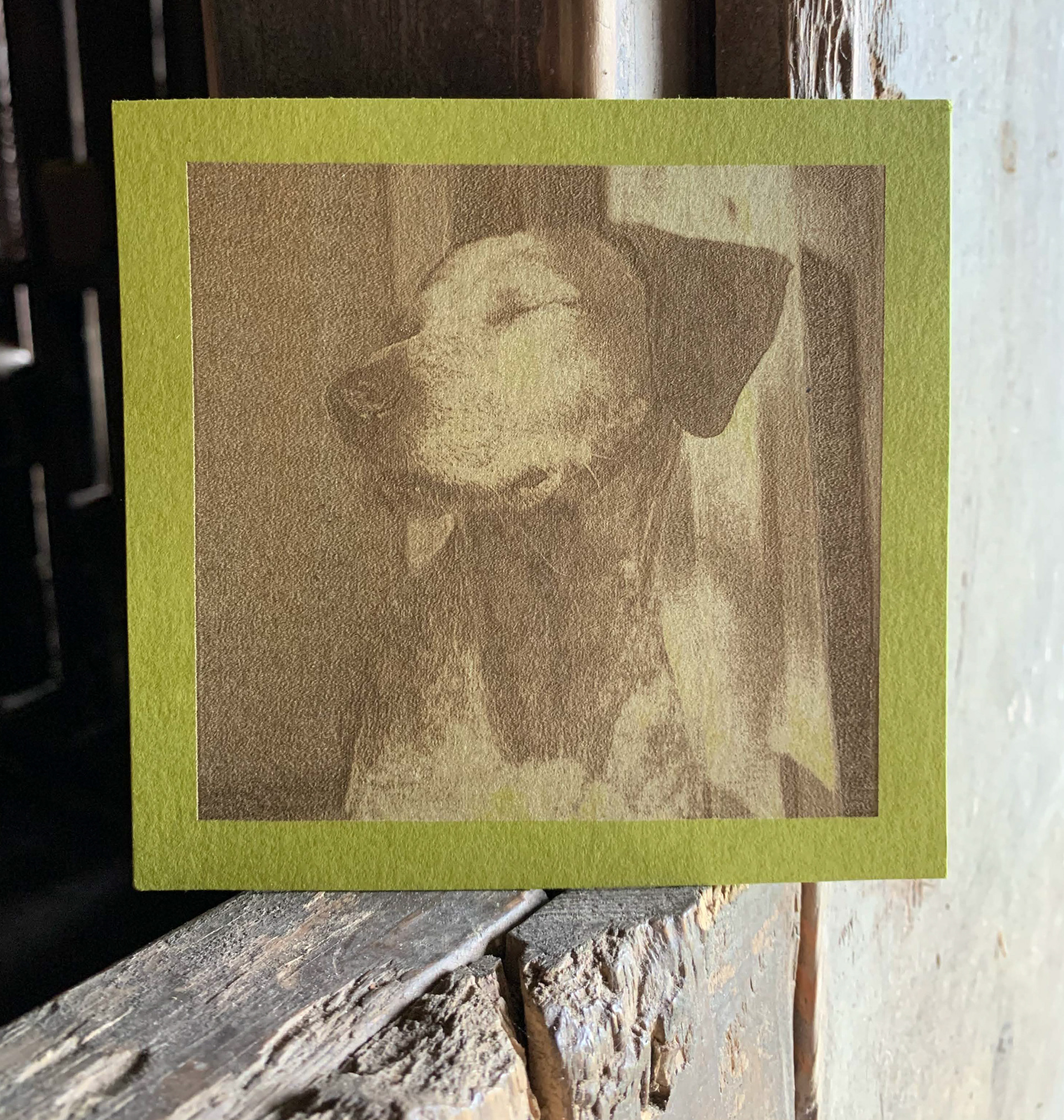 Laser Engraving on Citron Stock