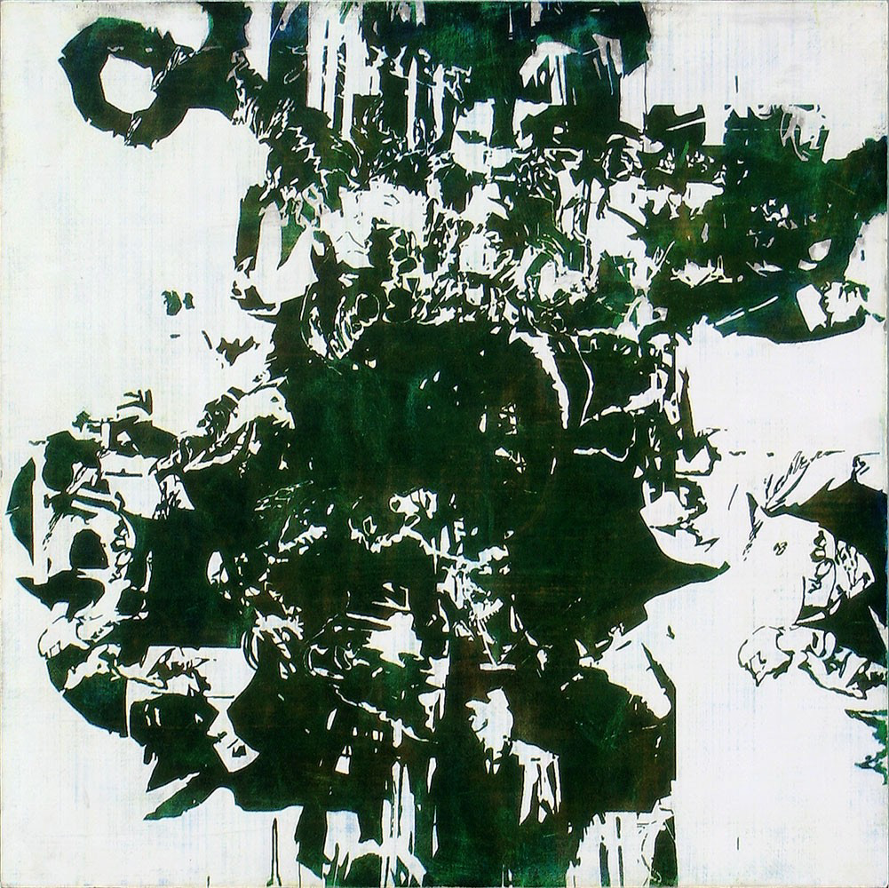 Digital Assemblage 2d | Photo Emulsion | 18 x 18