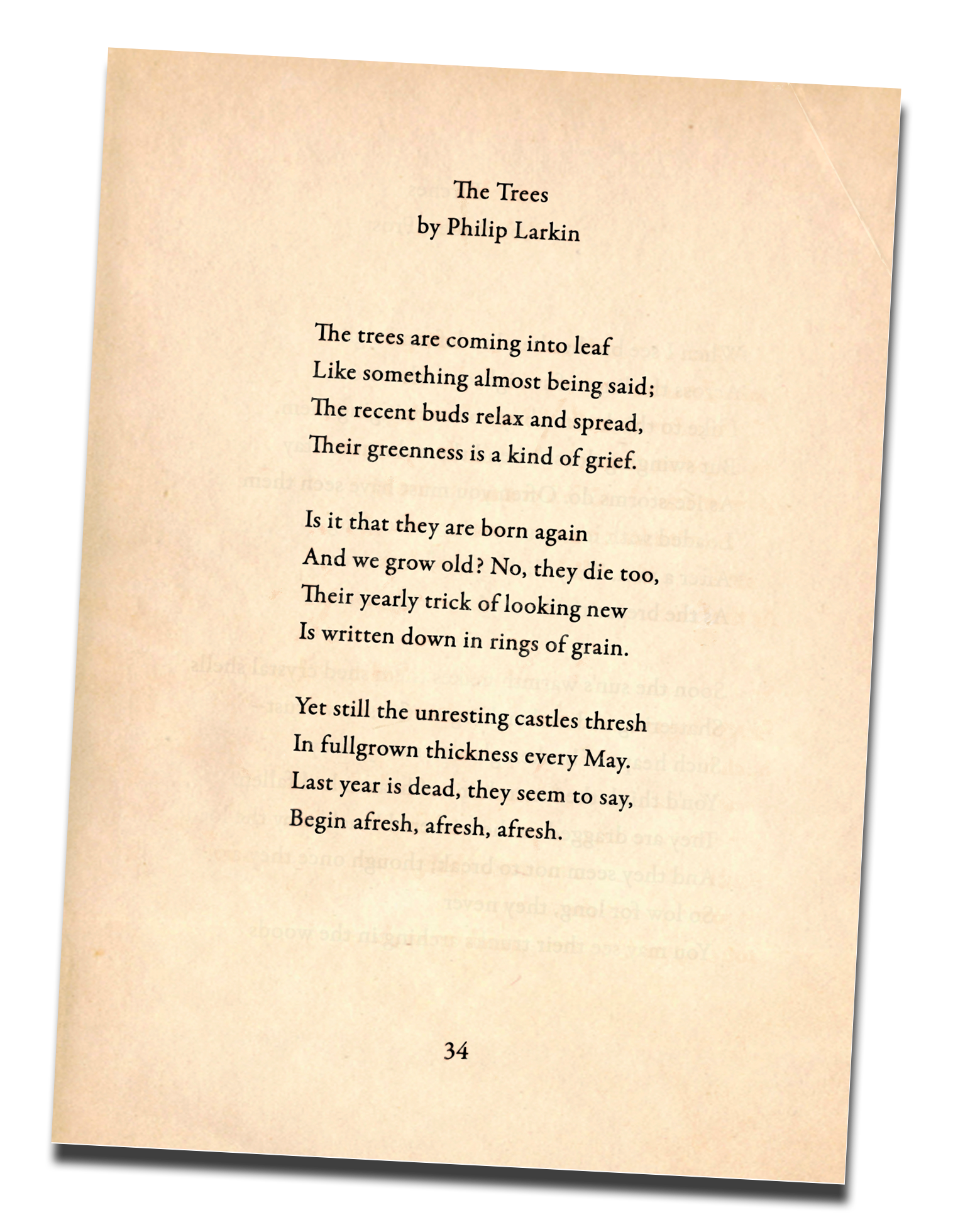 'The Trees' Poem page - mockup