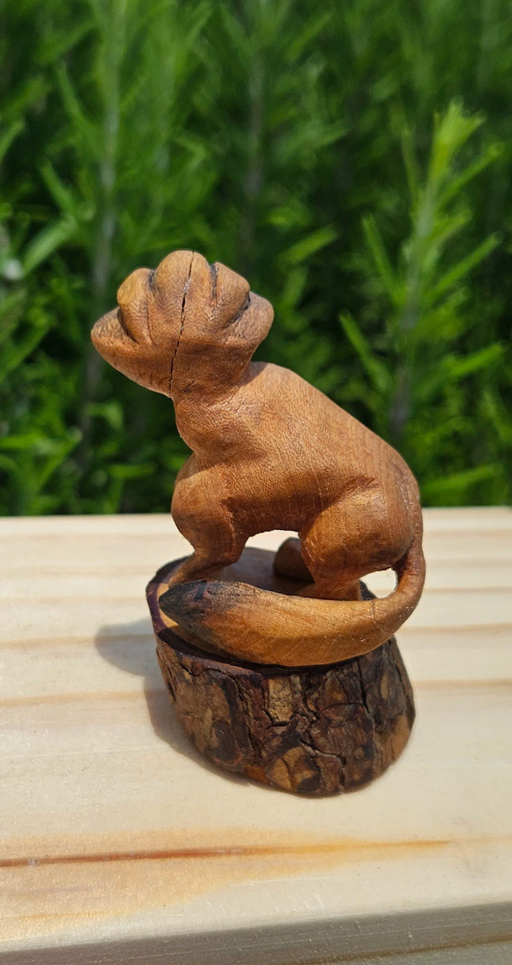 "Trickster" Media: cedar elm wood, shellac.