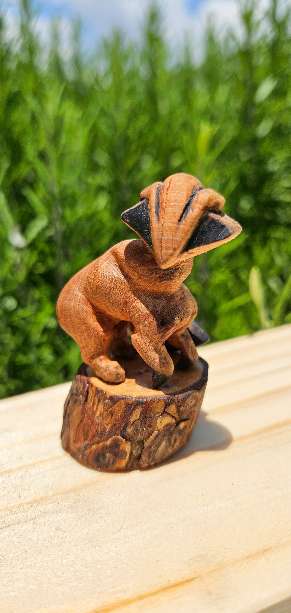 "Trickster" Media: cedar elm wood, shellac.