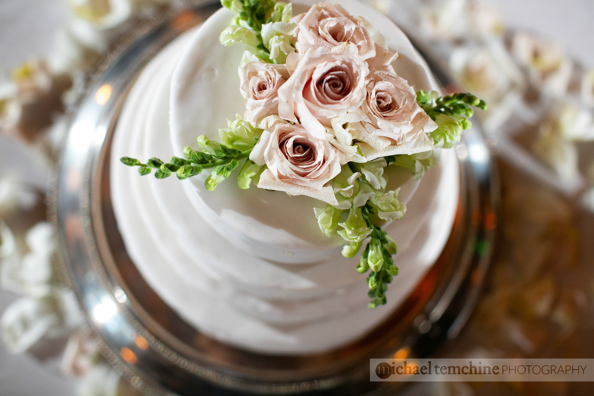 Denise and Sylvain's Peabody Institute wedding on March 2, 2019 in Baltimore, MD