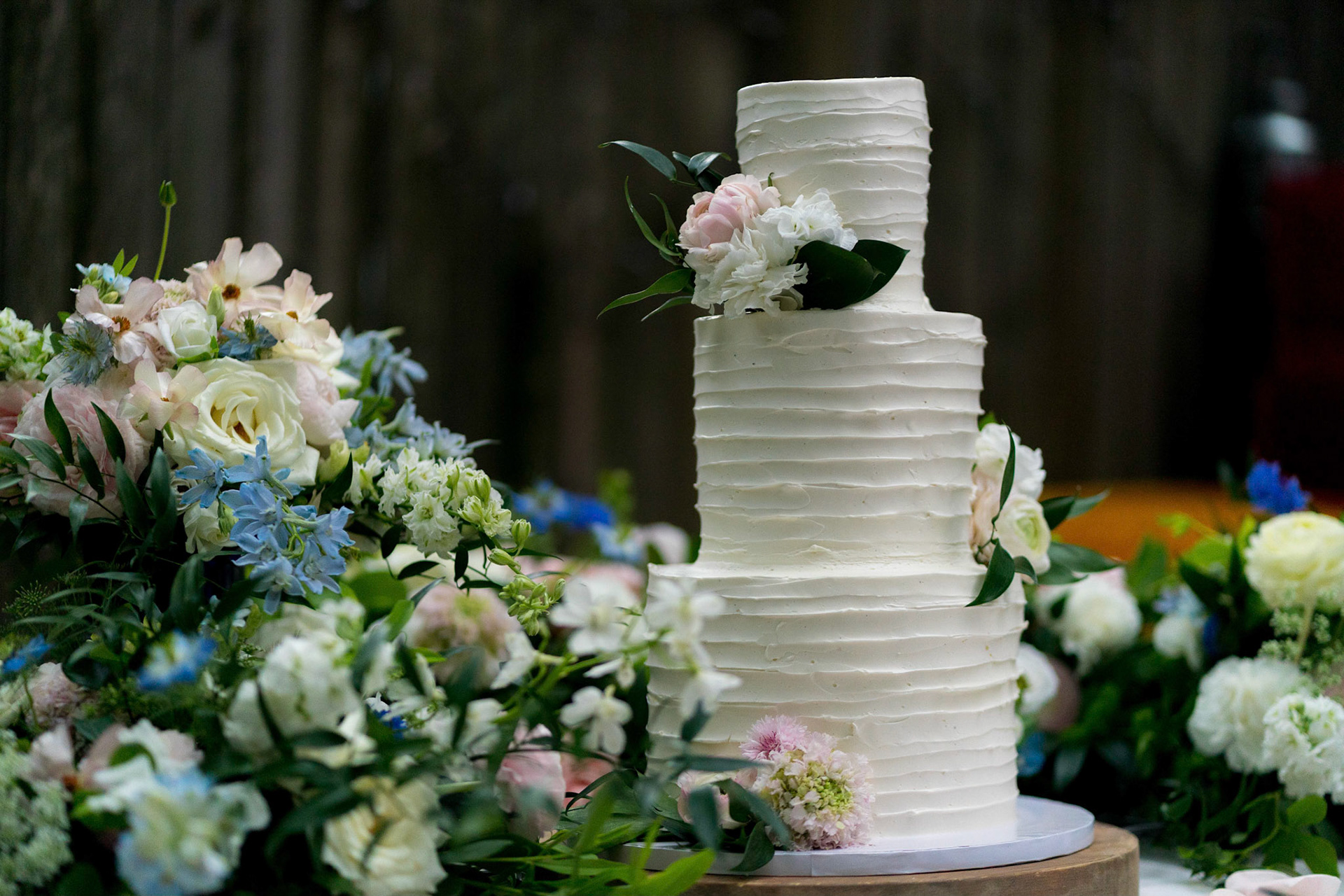 Marina and Mike’s intimate wedding at their home in Arlington, VA.