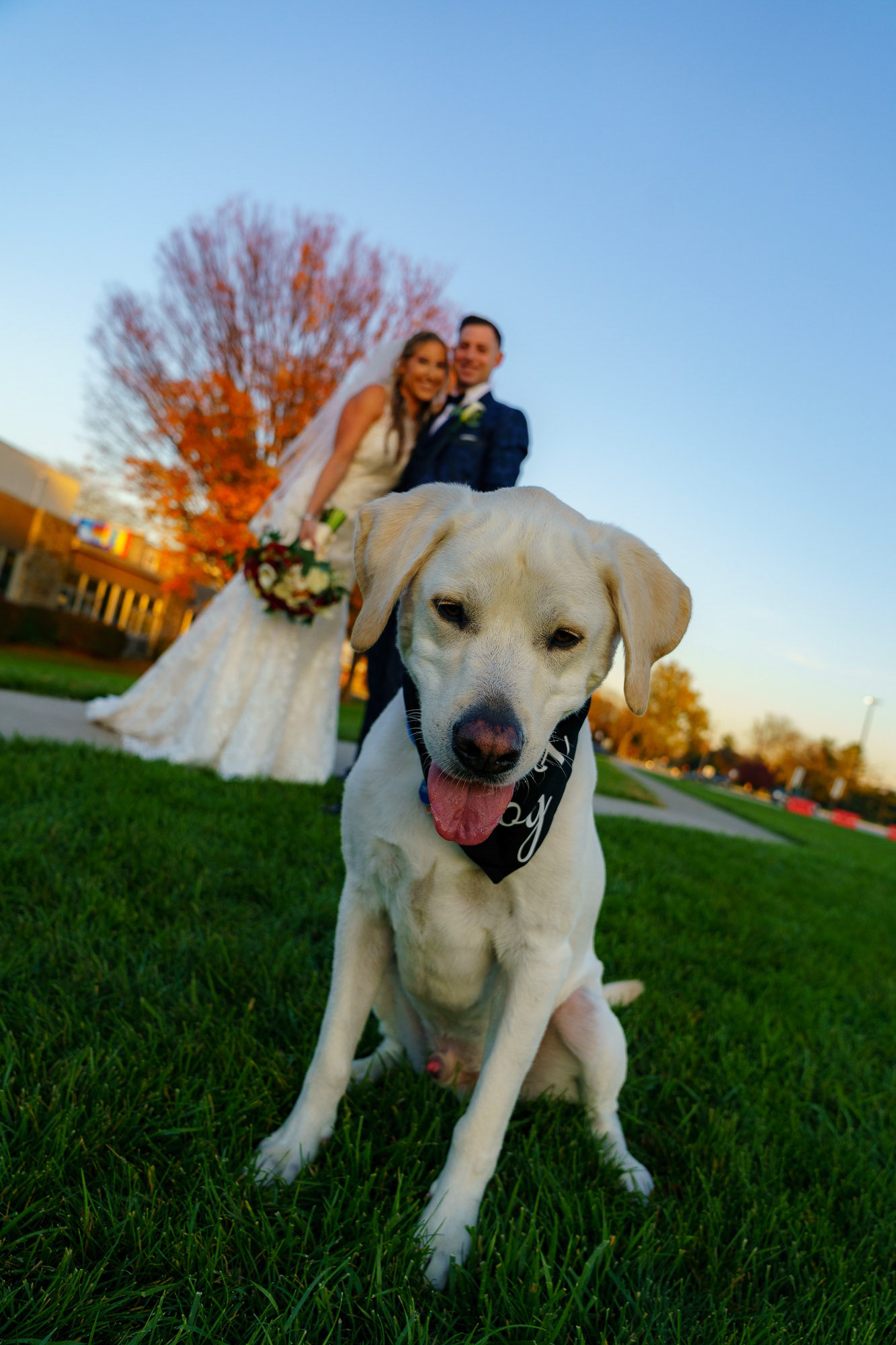 Melissa and Lee get married at Chizuk Amuno Congregation in Baltimore, MD on Saturday, November 7, 2020.