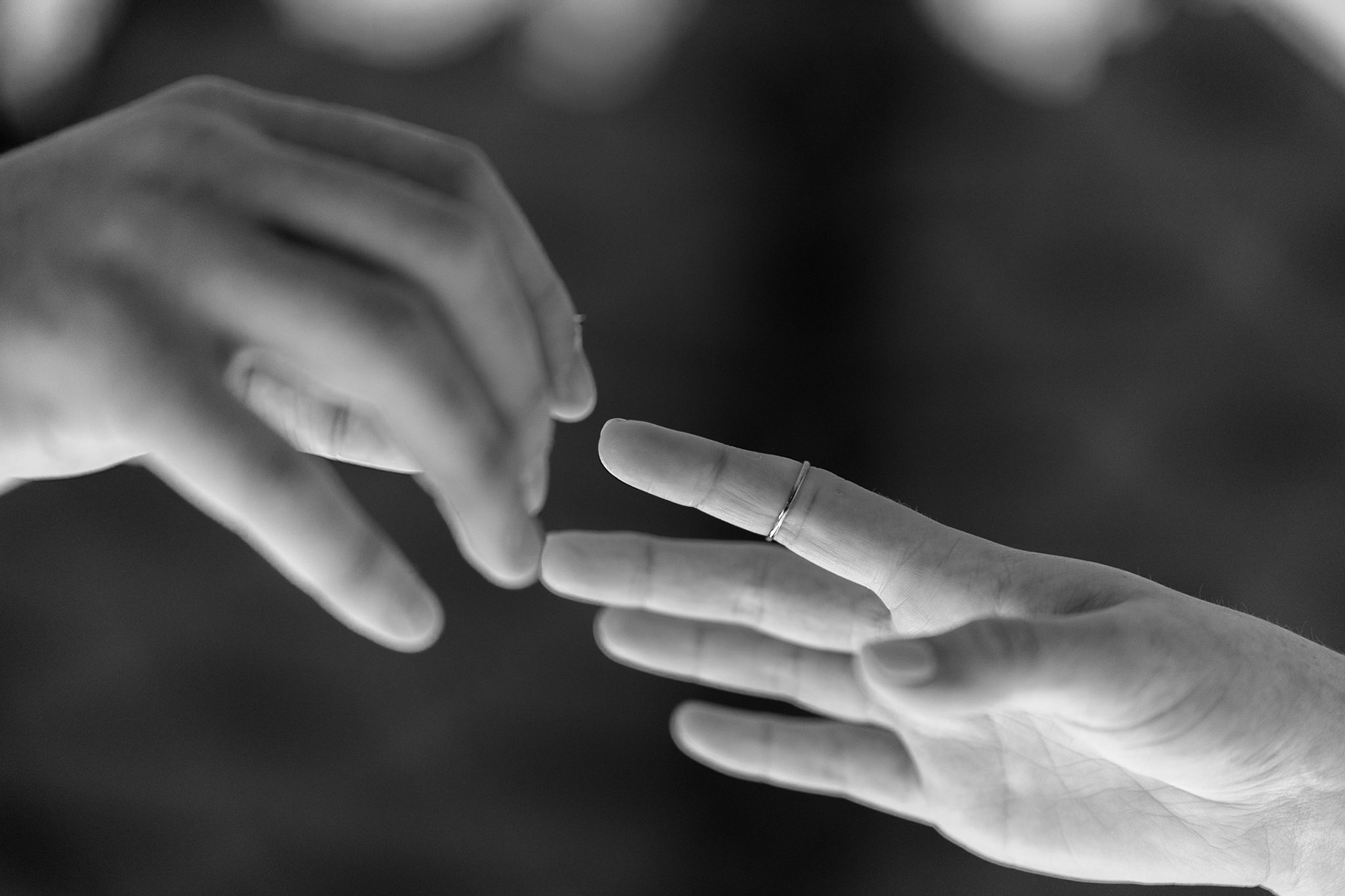 Wedding of Rebecca and Elliot at Beth Tfiloh in Pikesville, MD on Sunday, December 12, 2021.