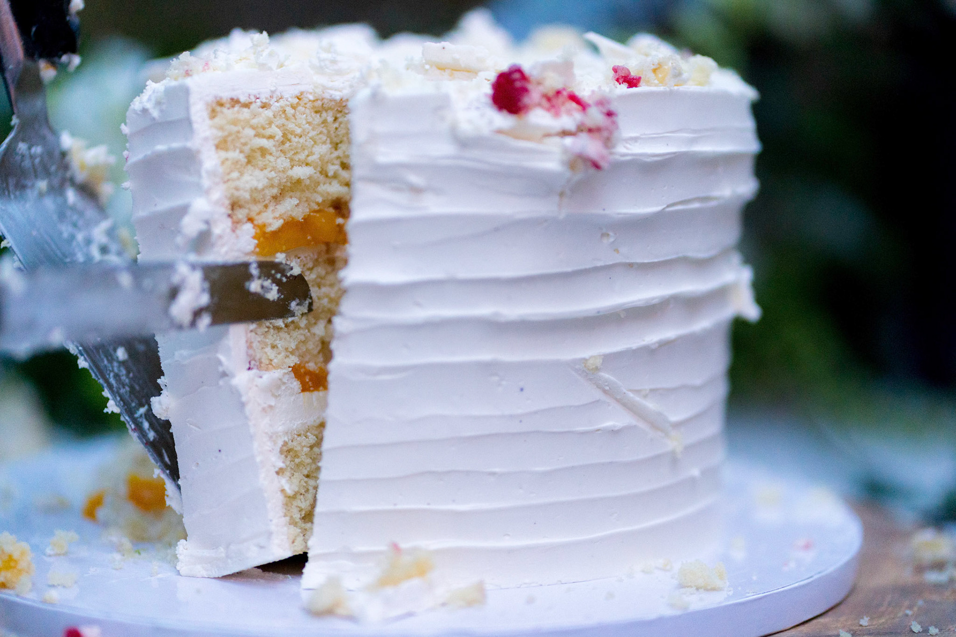 Marina and Mike’s intimate wedding at their home in Arlington, VA.