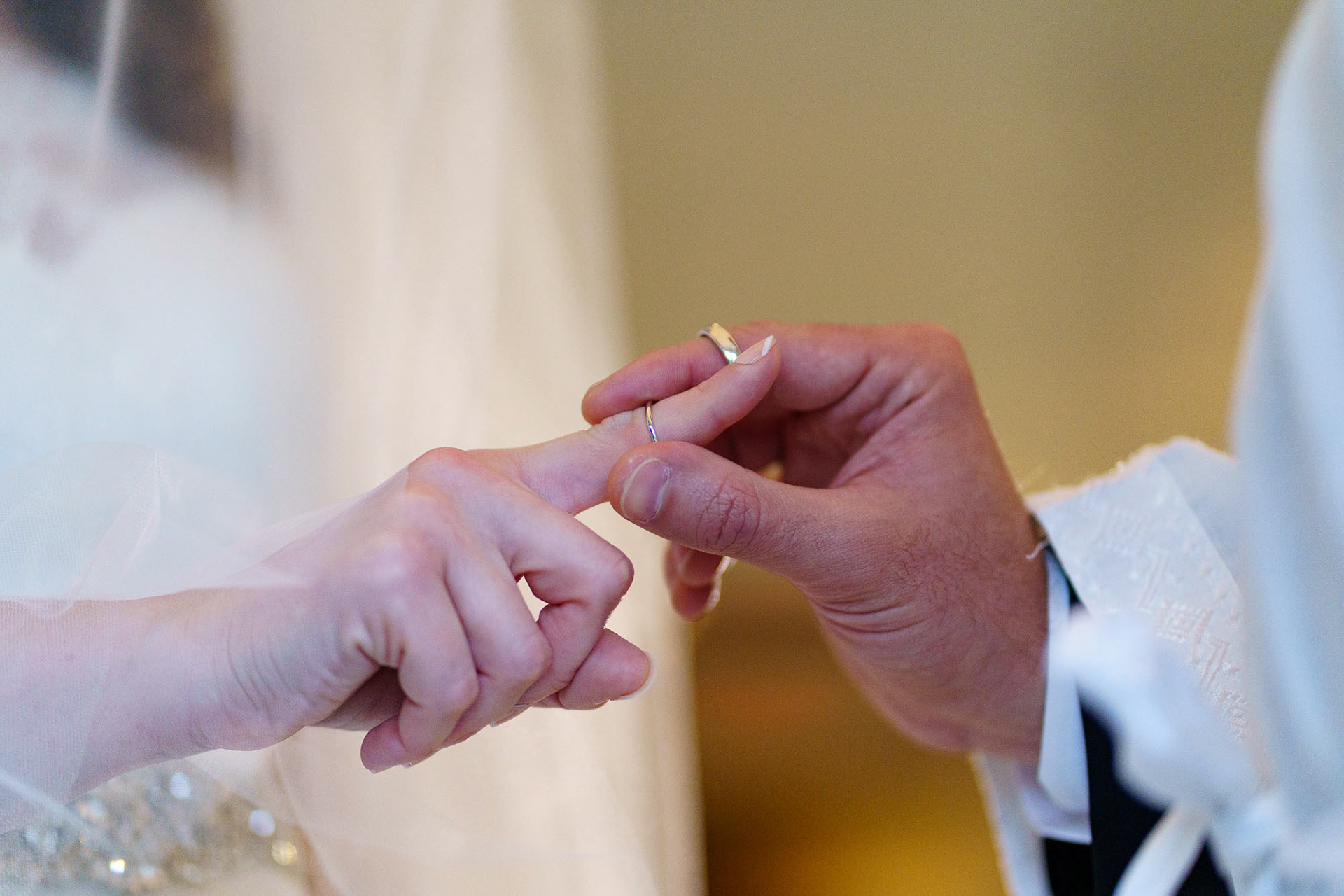 Shoshana and Dani wed at Brookside Gardens in Wheaton, MD on Sunday, November 1, 2020.