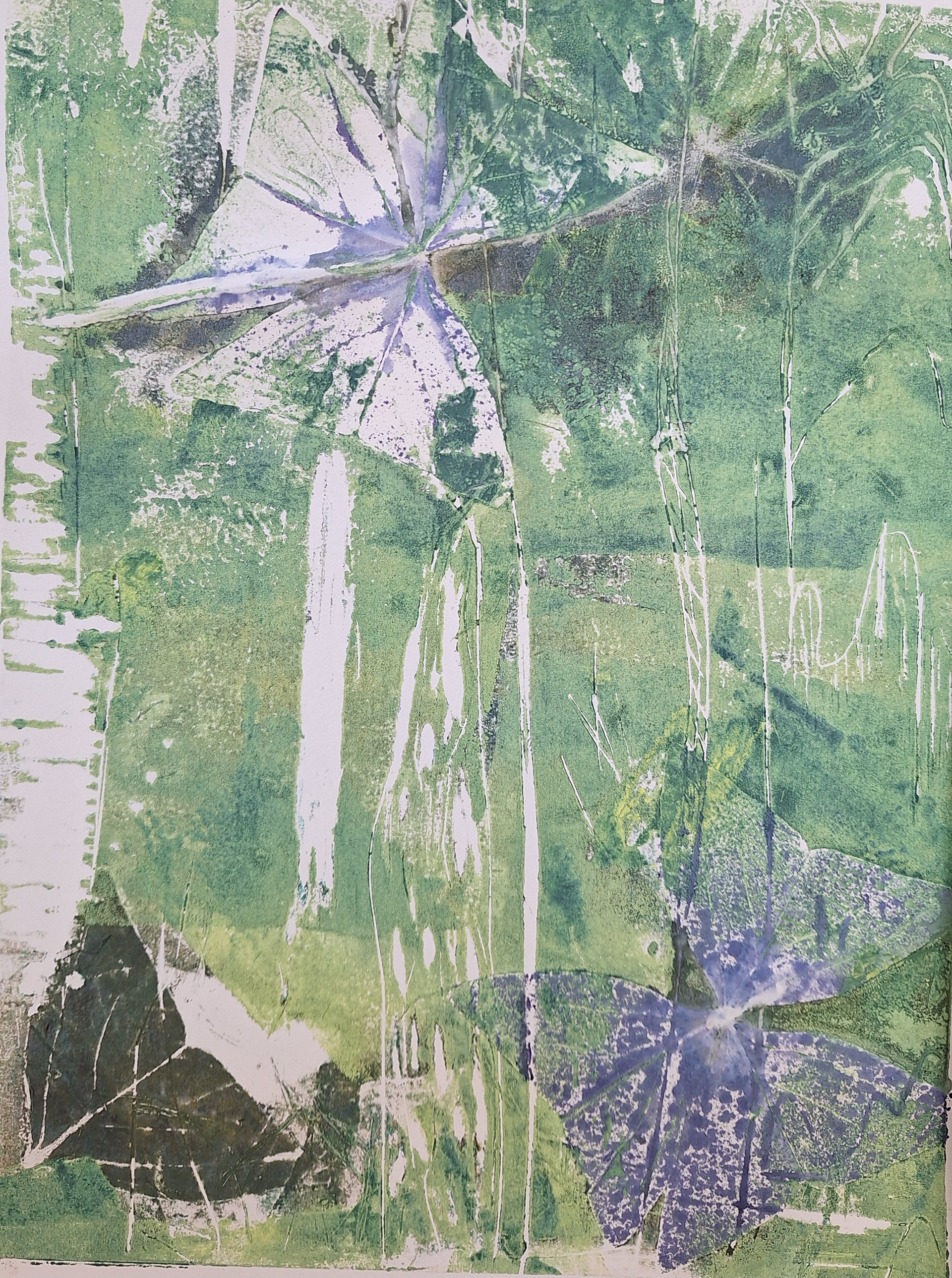 Zwischen Feld und Wiesen, Serie, Druckgrafik, 42x 60 cm , 2025