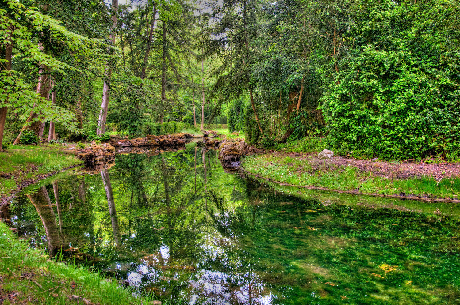 Green reflection