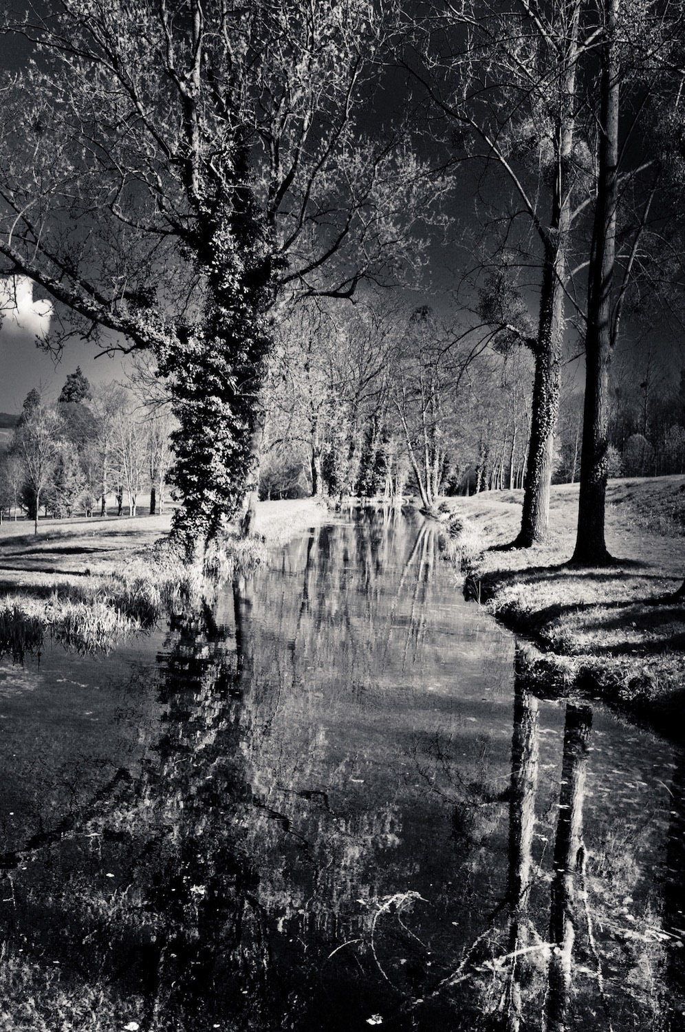 The strange reflection