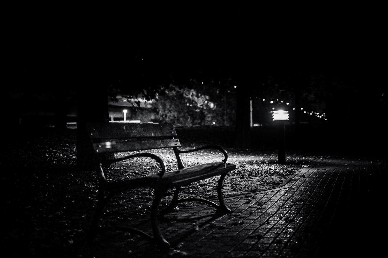 Bench by night