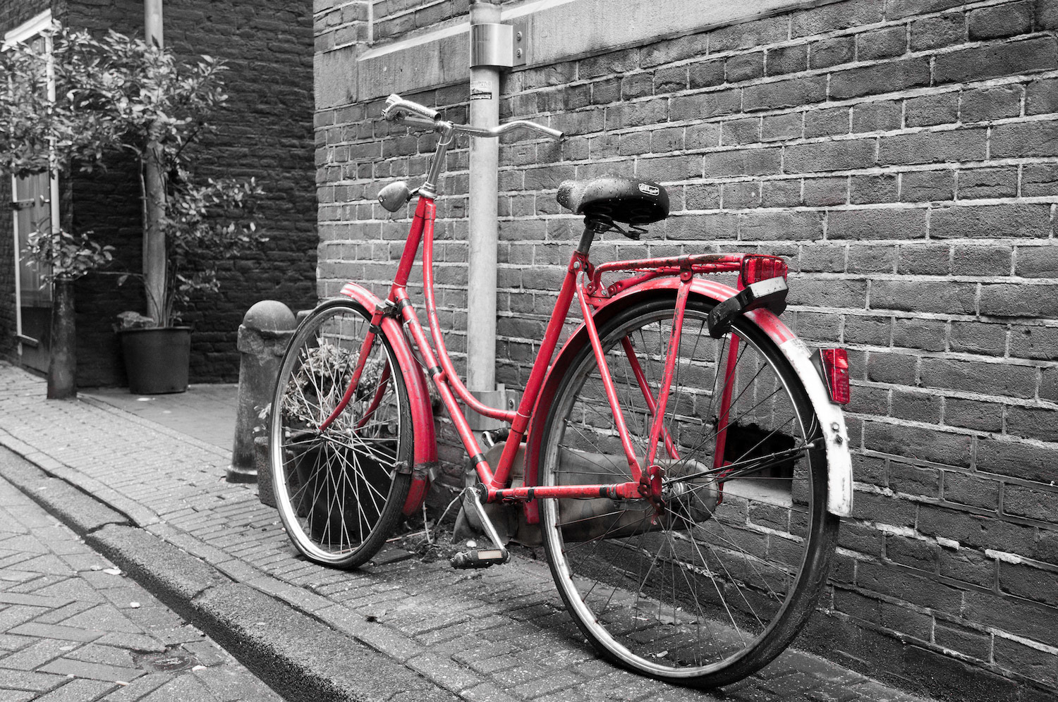 Red bike