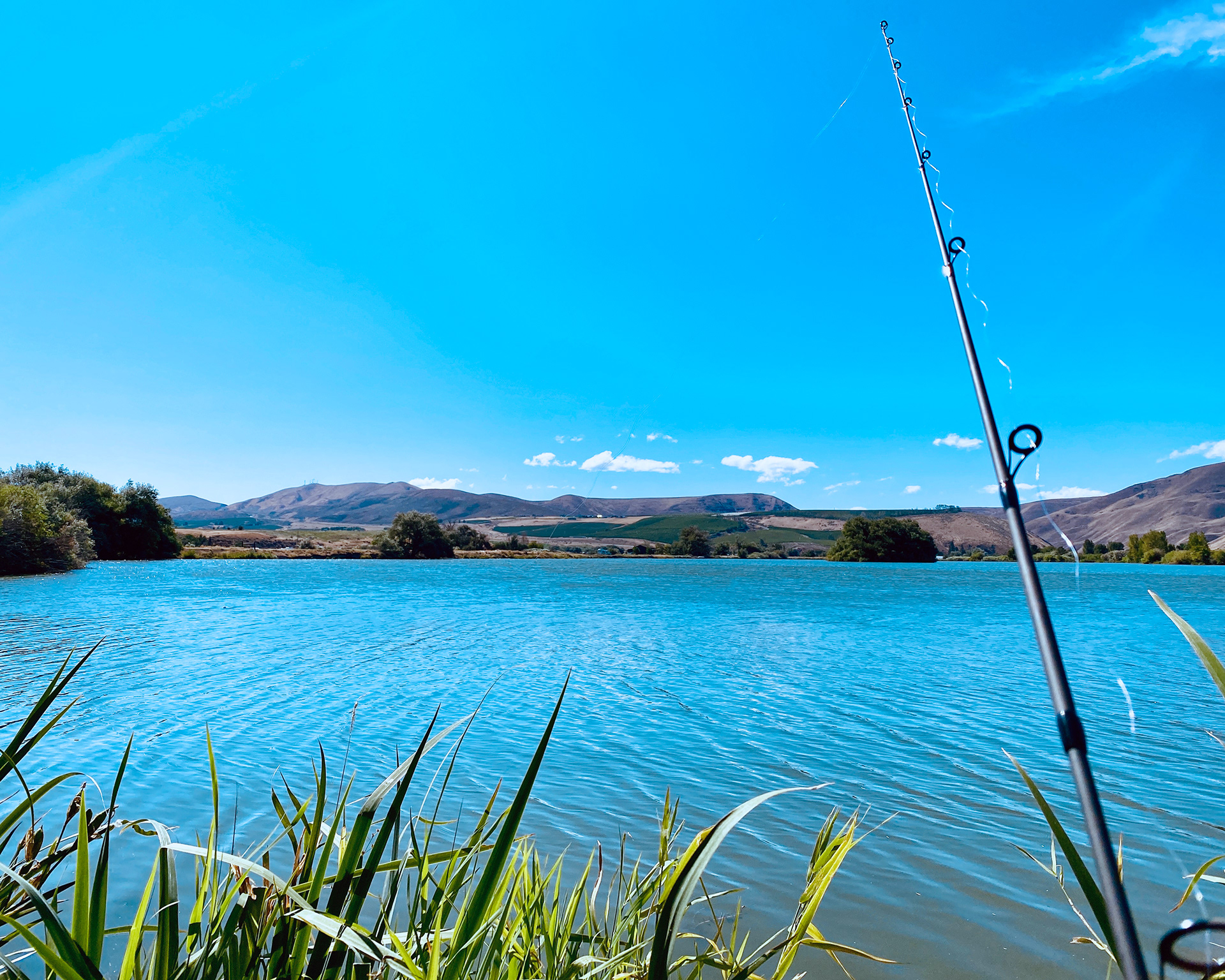 Fio Rito Pond, Ellensuburg, WA