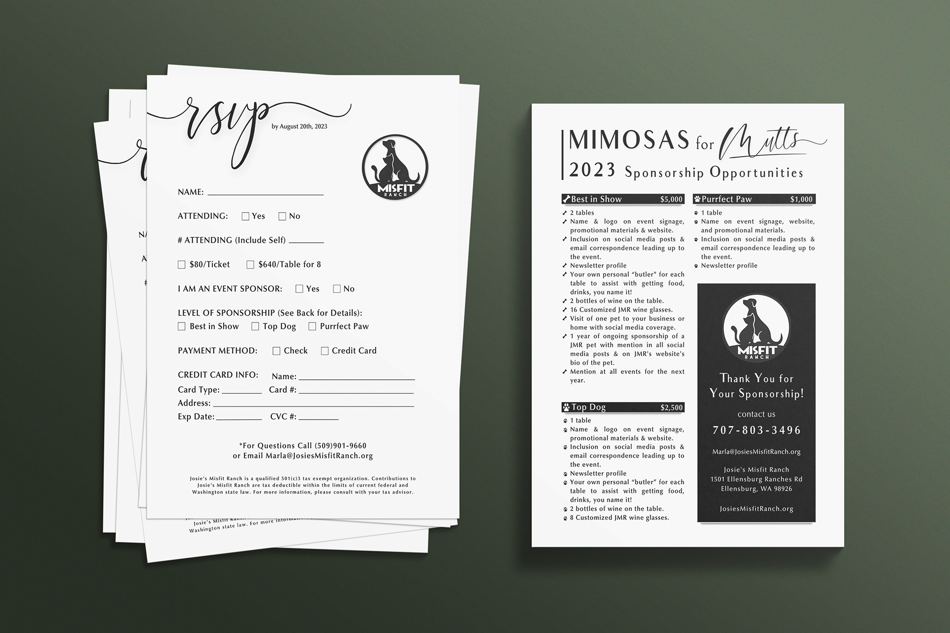 RSVP & Sponsorship Flyer Design