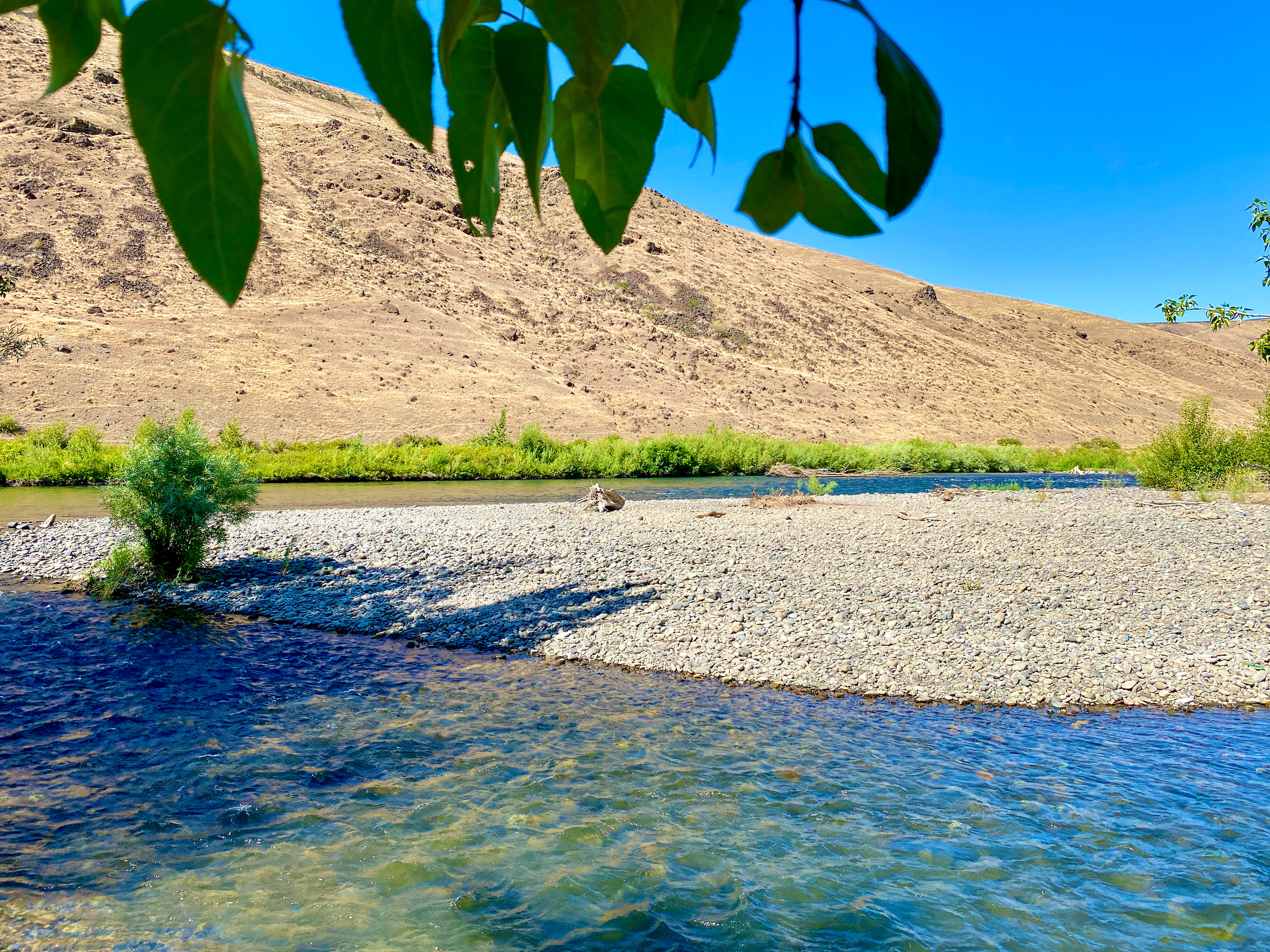 Yakima River, Yakima, WA