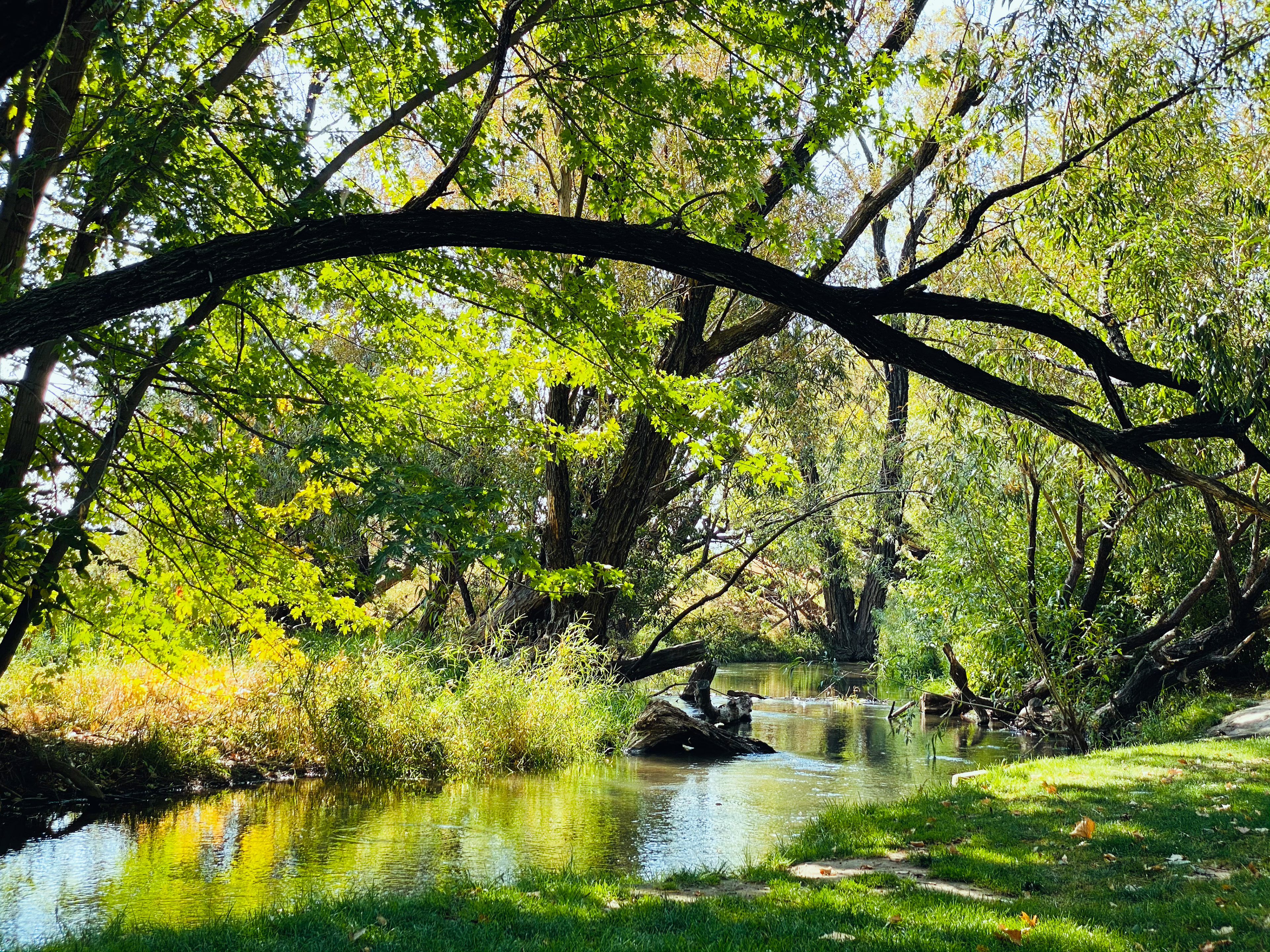 Randall Park, Yakima, WA